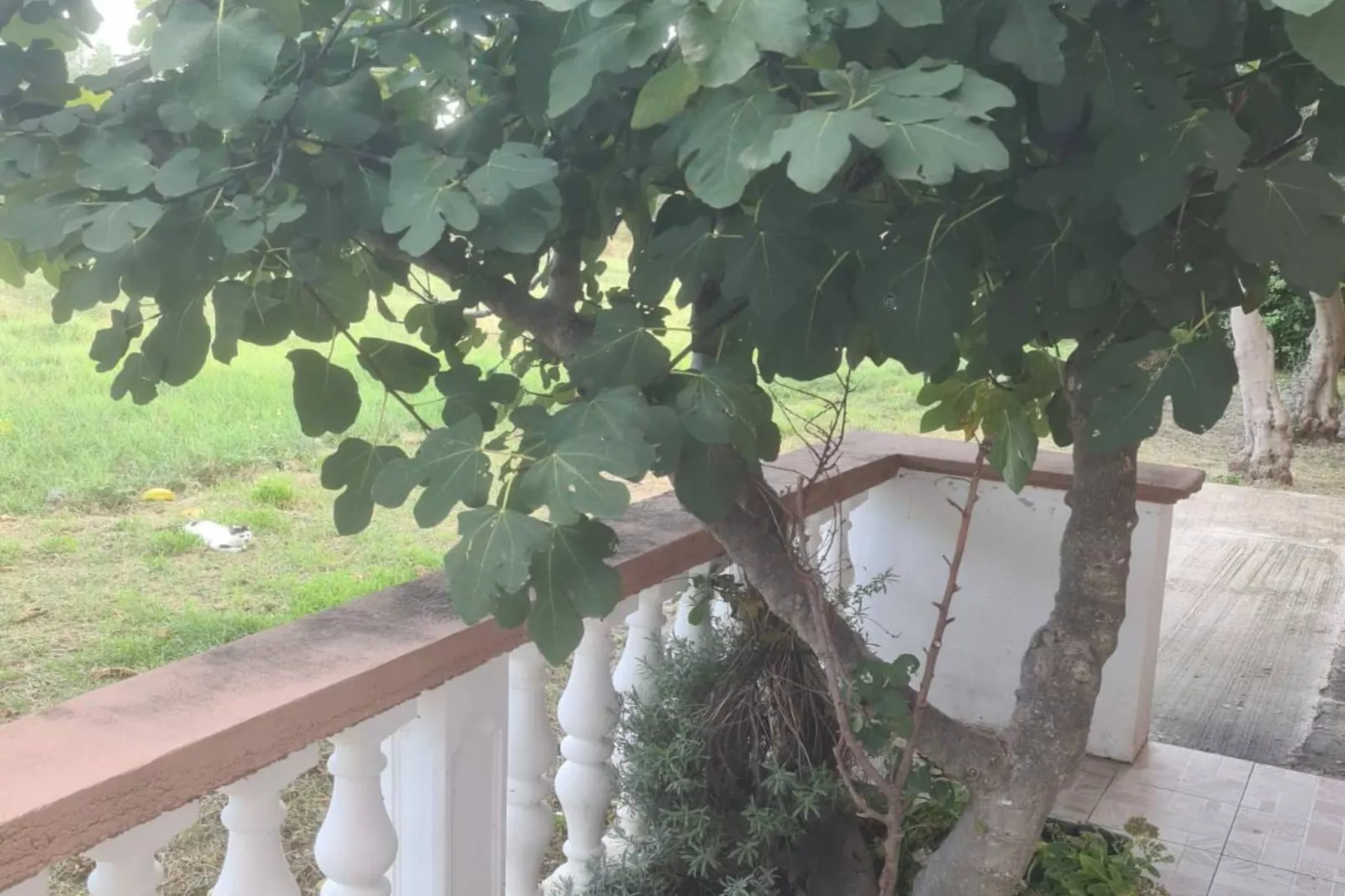 Apartments Rubbi - Studio with Terrace-Buitenlucht