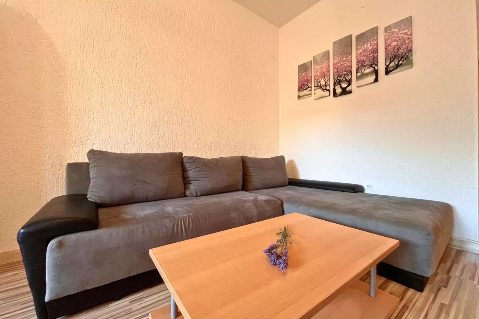 Apartments Butković -  Two Bedroom Apartments (A3)-Woonkamer