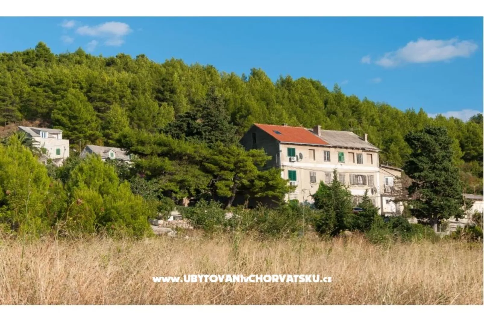 Apartment One  Bedroom nmb 2