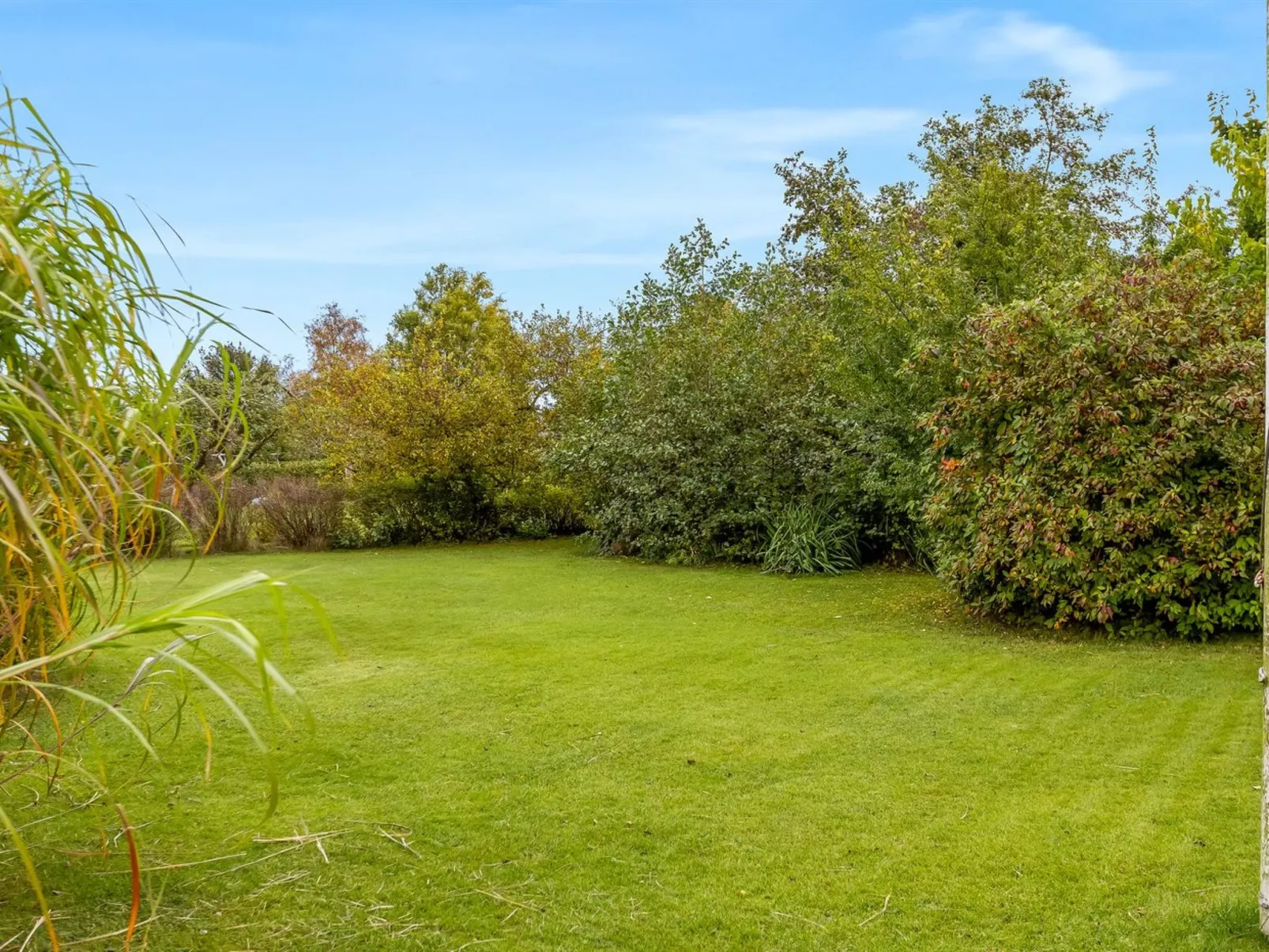 "Lymke" - 450m from the sea-Buiten