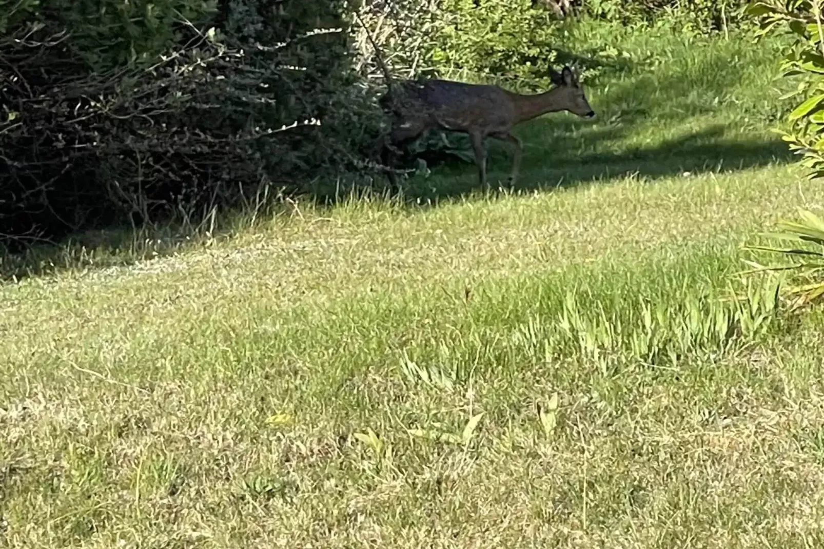 5 sterren vakantie huis in Ebeltoft-Niet-getagd