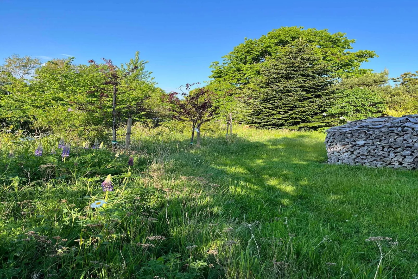 5 sterren vakantie huis in Hundested-Niet-getagd