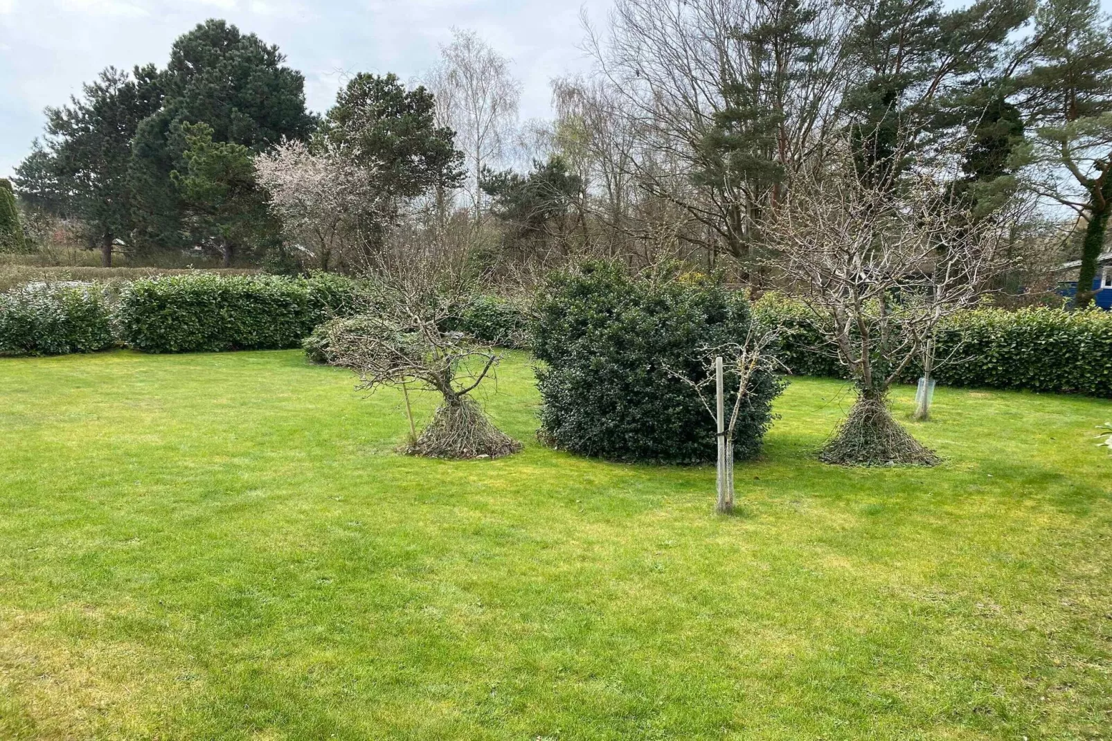 4 sterren vakantie huis in Græsted-Buitenlucht