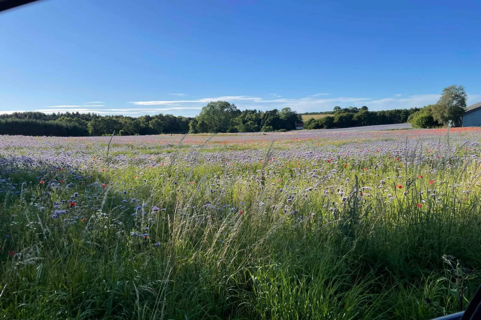 4 sterren vakantie huis in Nykøbing Sj-Buitenlucht