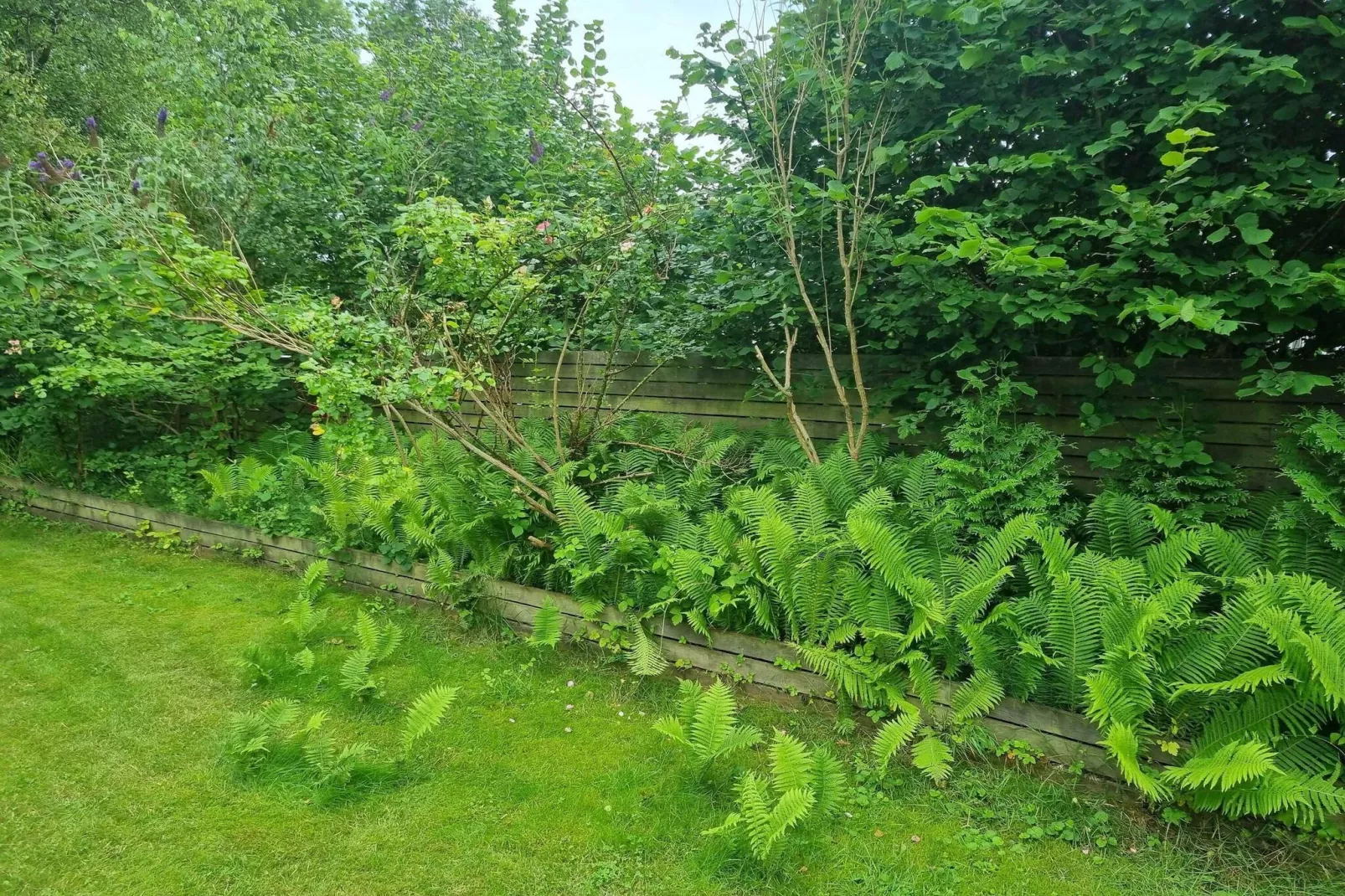 4 sterren vakantie huis in Faxe Ladeplads-Buitenlucht