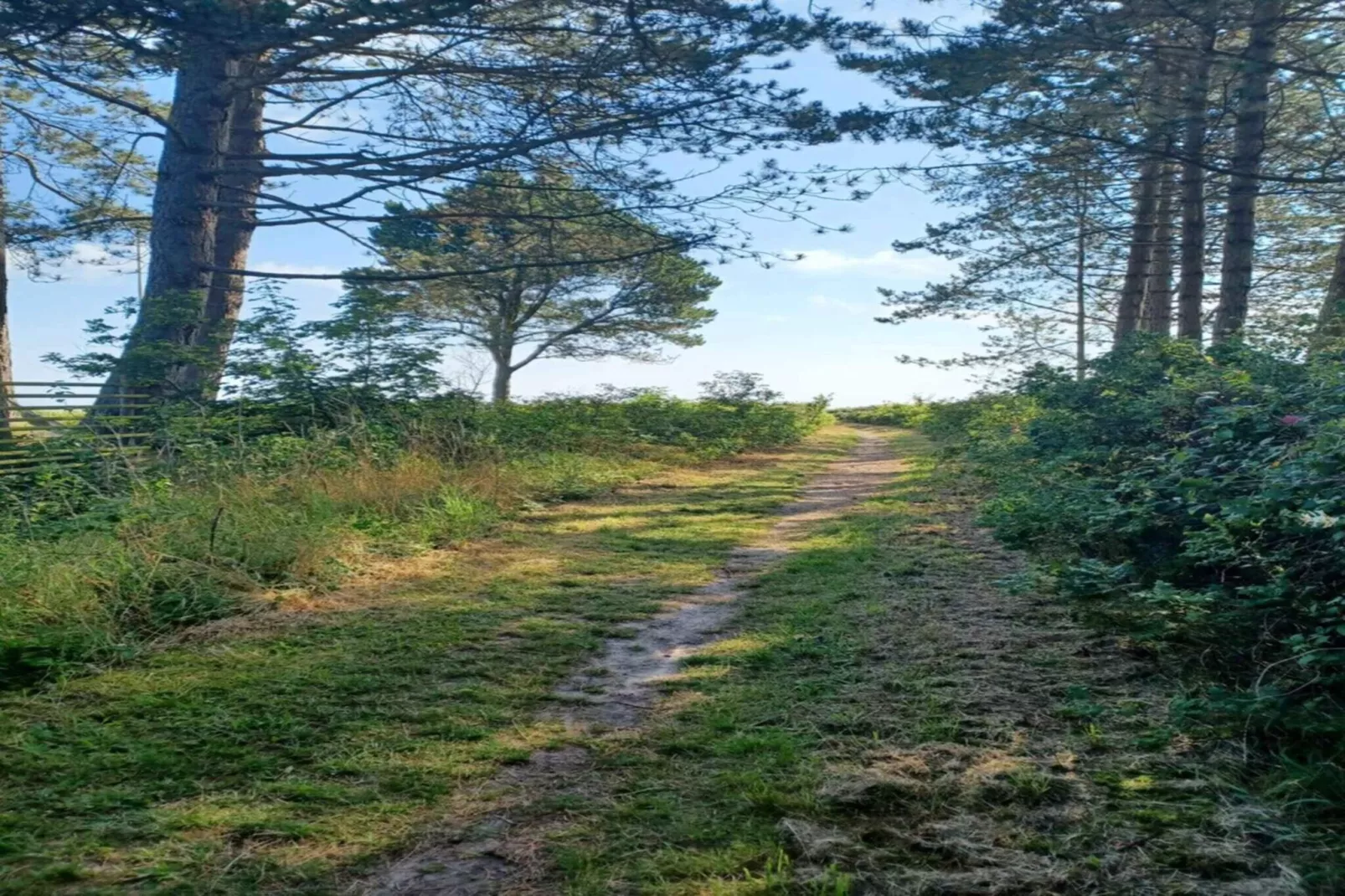 4 sterren vakantie huis in Middelfart-Buitenlucht