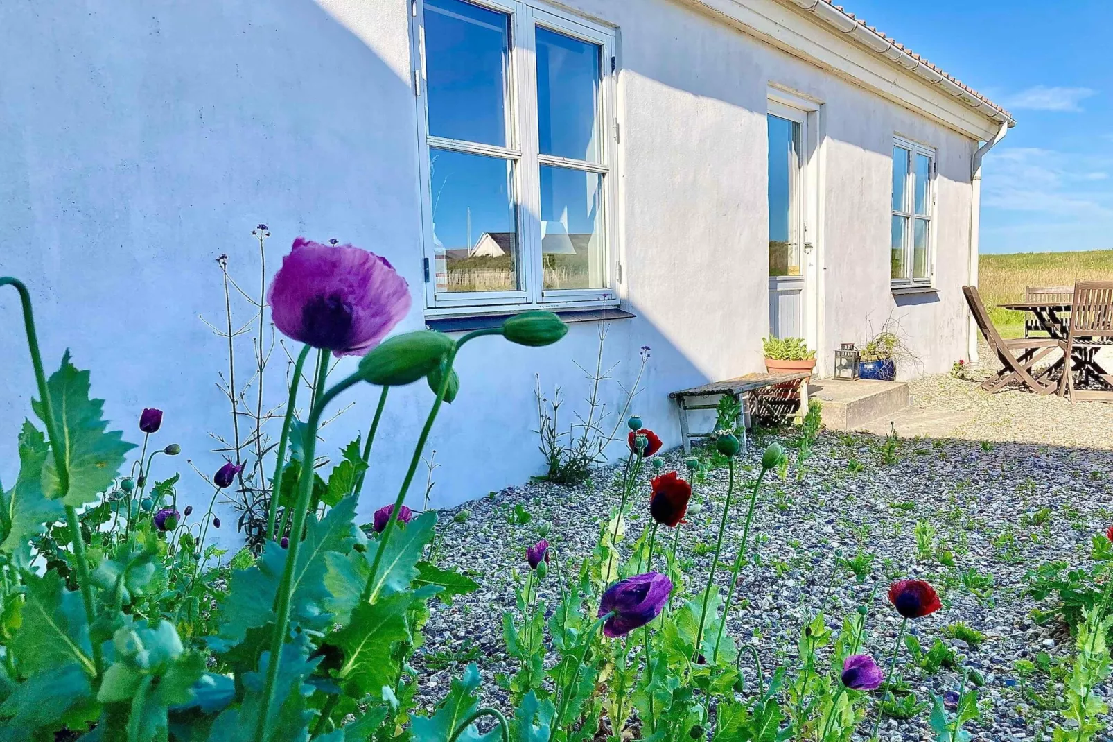 5 sterren vakantie huis in Lemvig-Buitenlucht