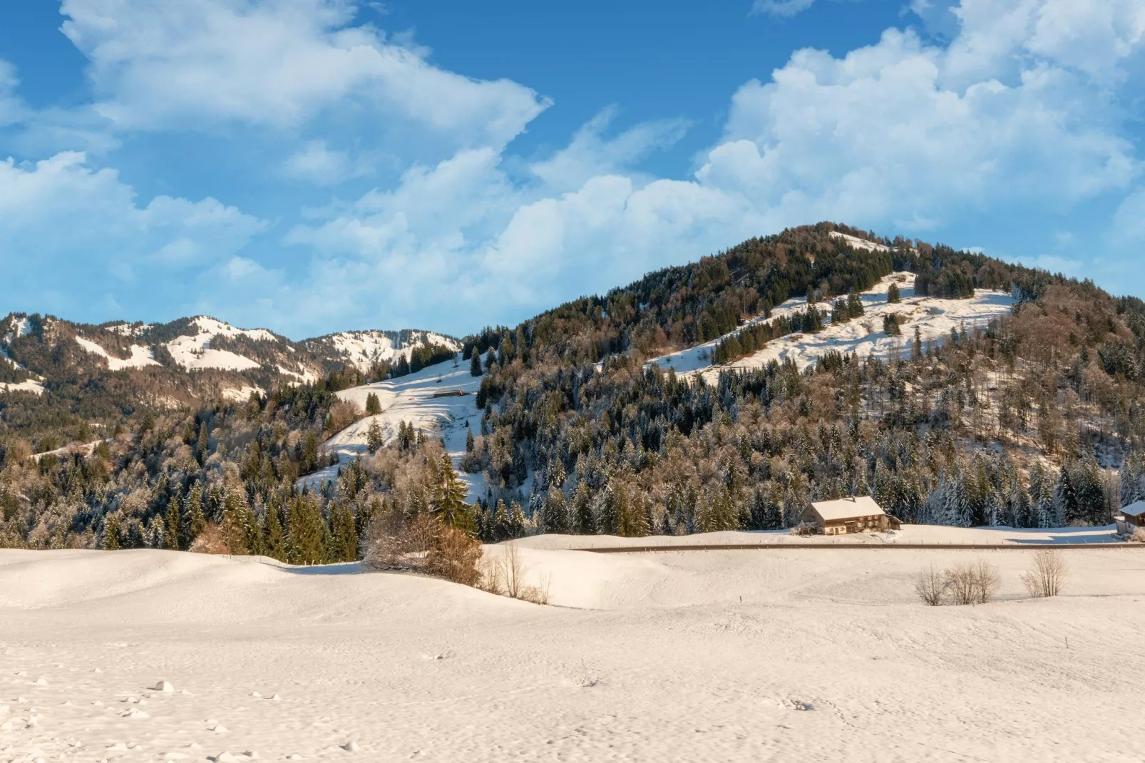 Chalet Sibratsgfäll 1-Gebied winter 5km