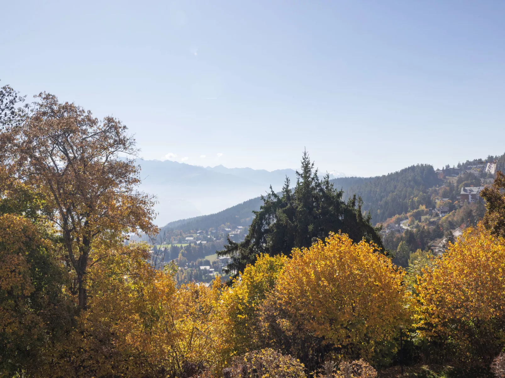 Armorial Ouest 51-Buiten