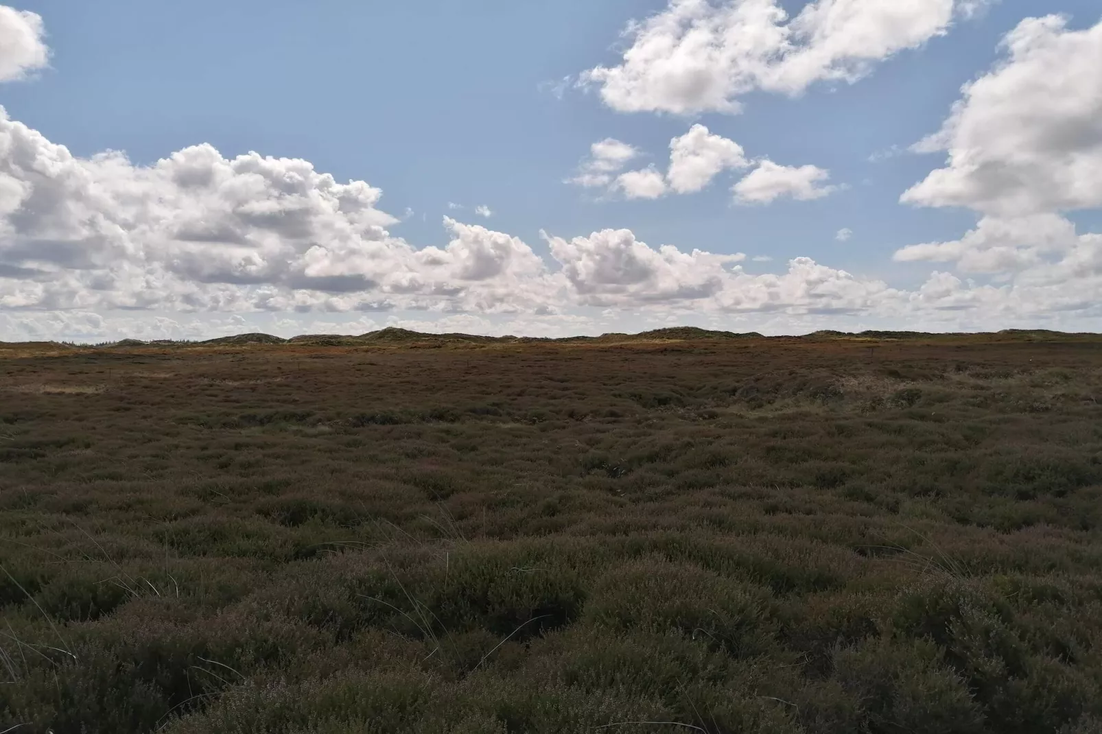Kustsereniteit bij Henne Strand-By Traum-Niet-getagd