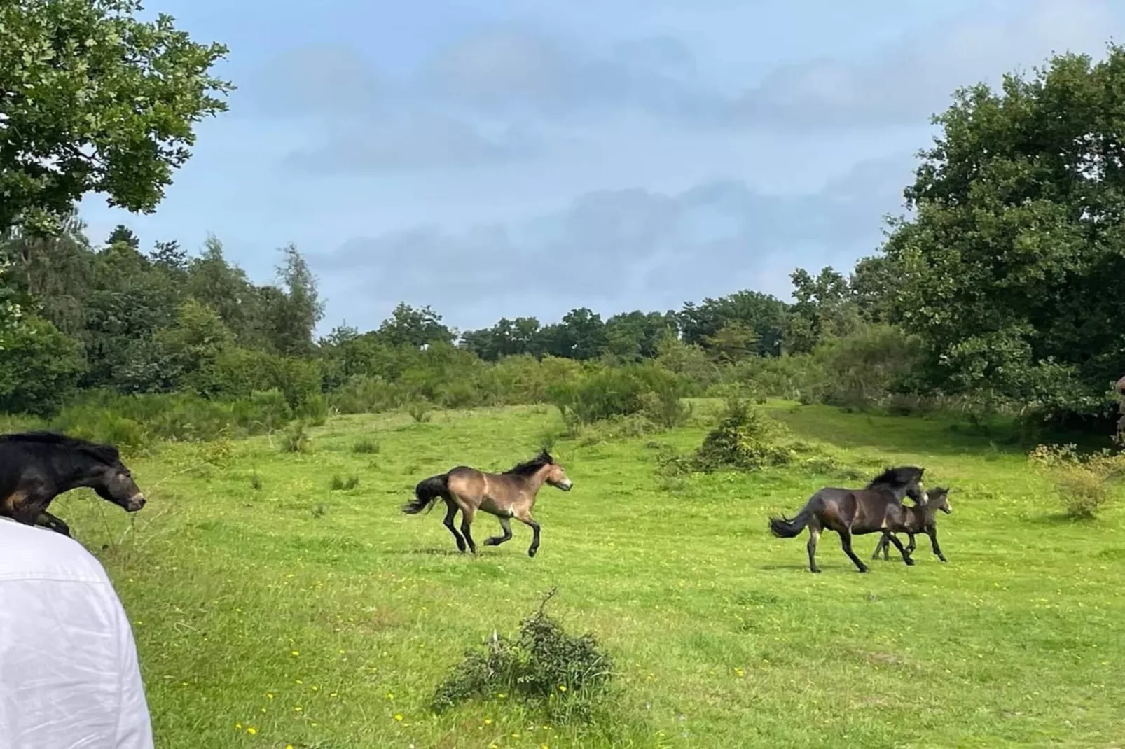 Kustsereniteit bij Fuglsovig-By Traum-Niet-getagd