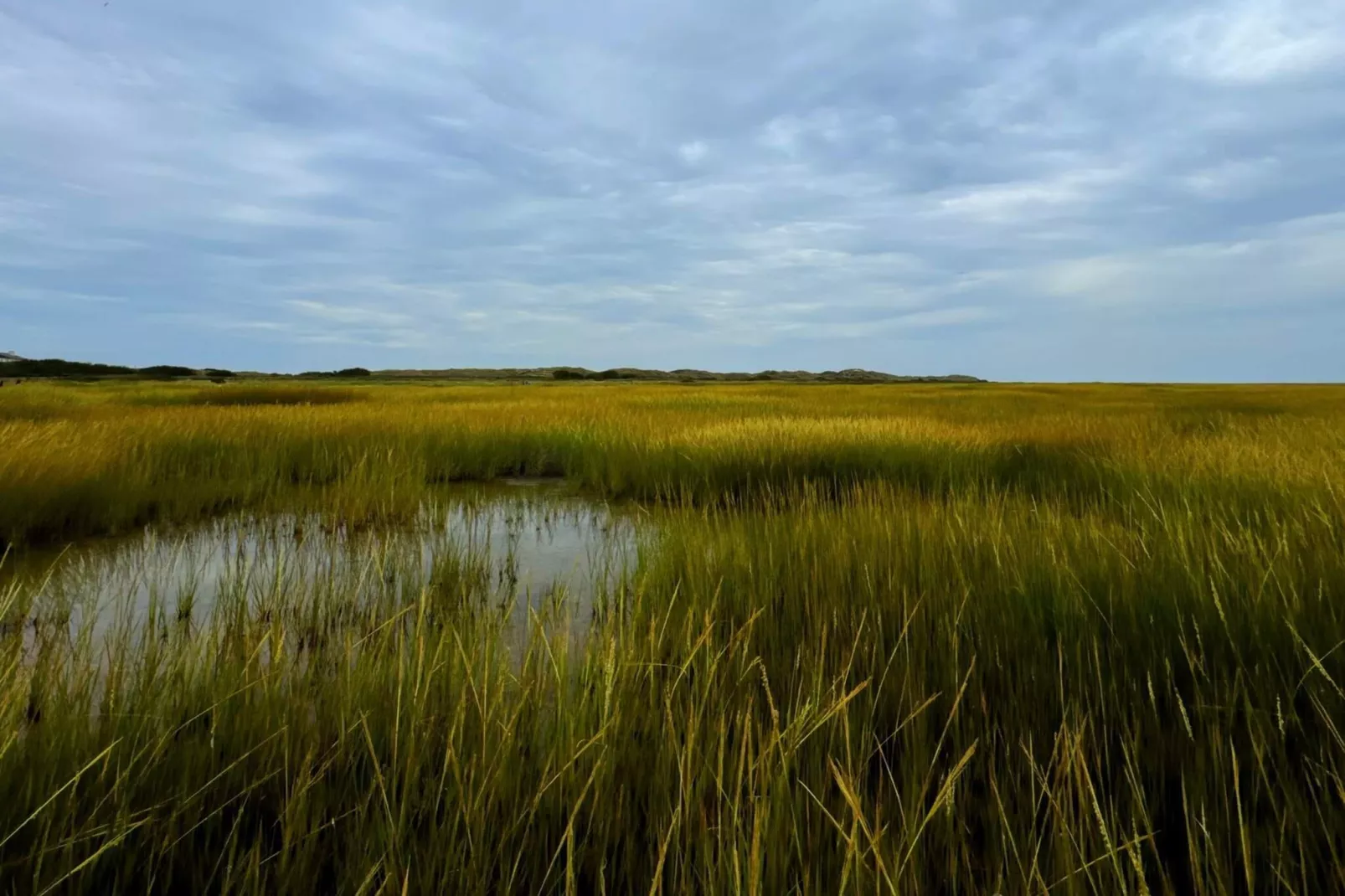 6 persoons vakantie huis in Fanø-Waterzicht