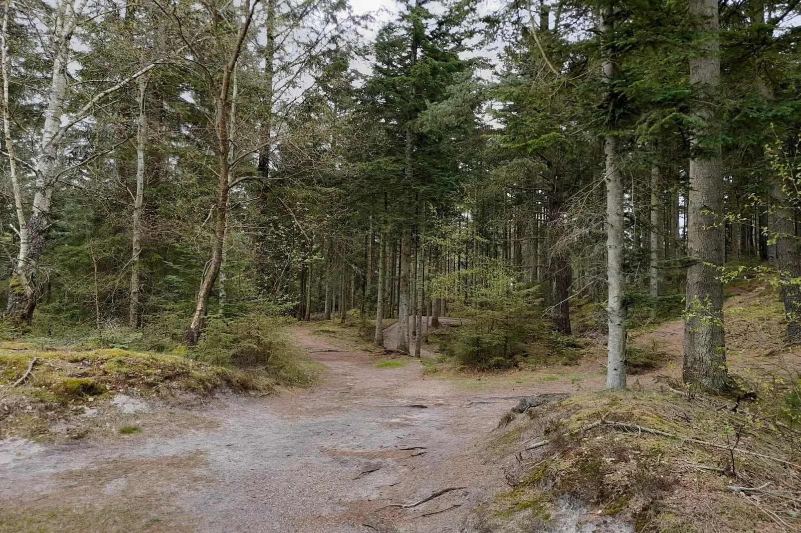 18 persoons vakantie huis in Nørre Nebel-Niet-getagd