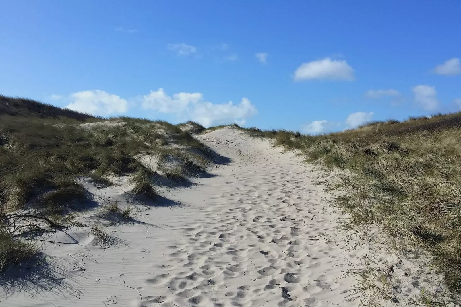 18 persoons vakantie huis in Ringkøbing-Waterzicht