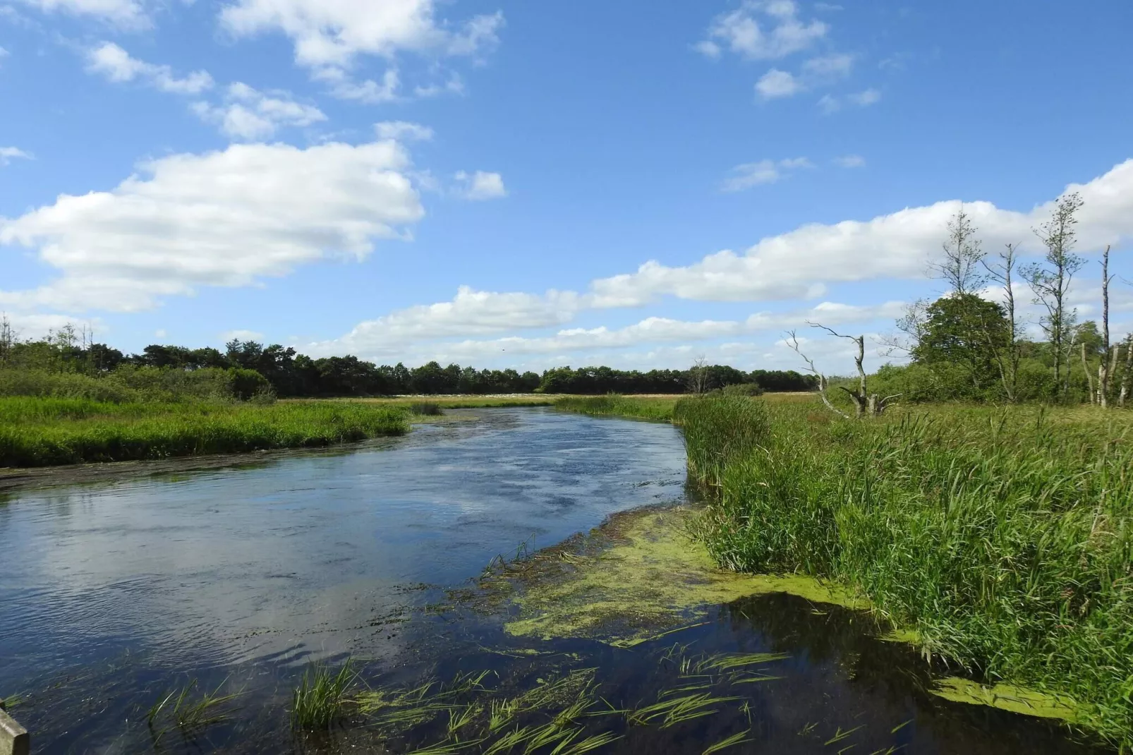 6 persoons vakantie huis in Fårvang