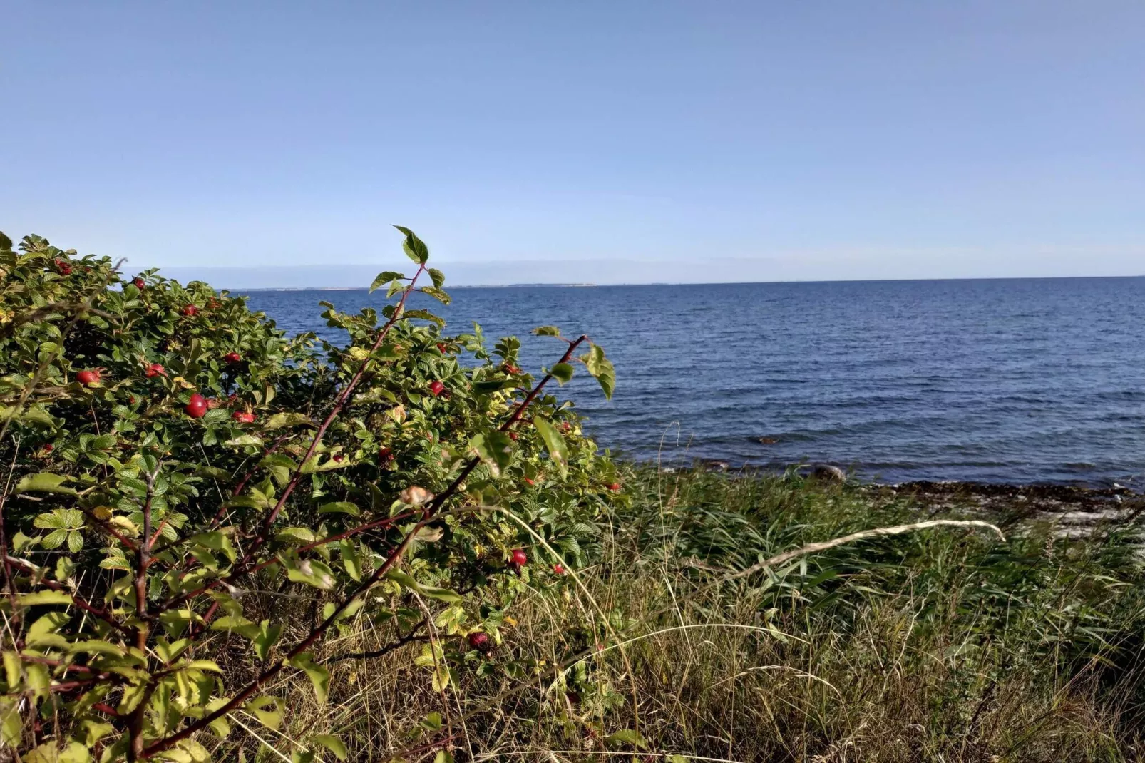 6 persoons vakantie huis in Nordborg-Waterzicht