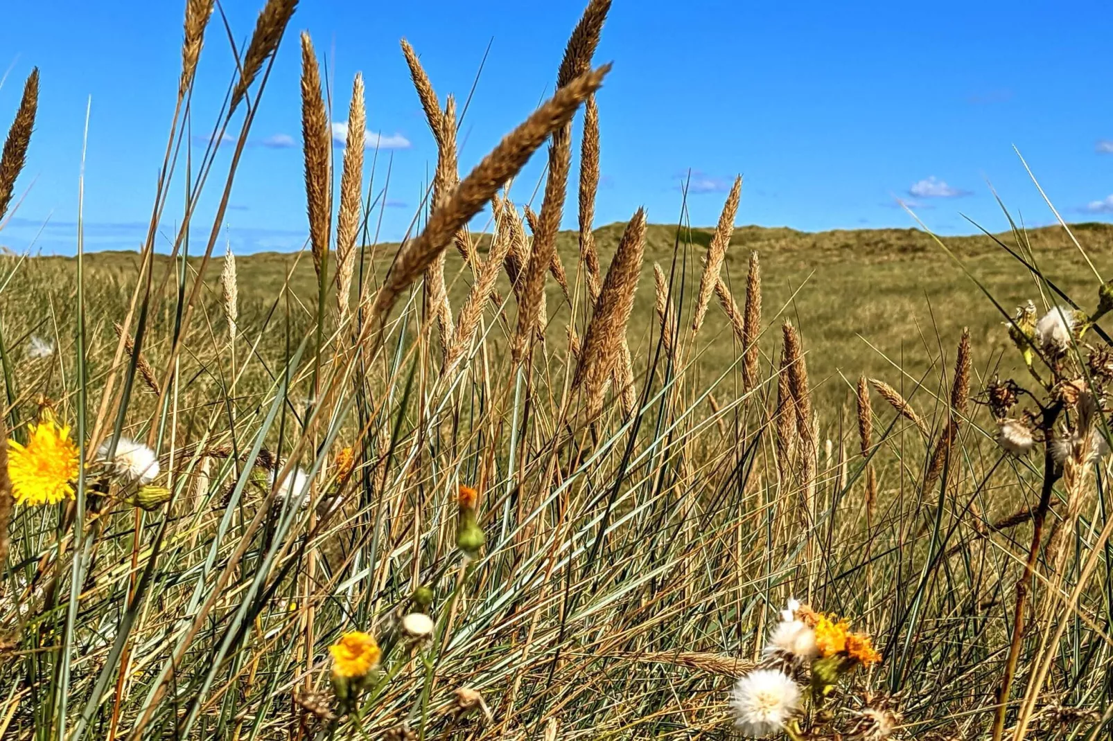 6 persoons vakantie huis in Nørre Nebel-Niet-getagd