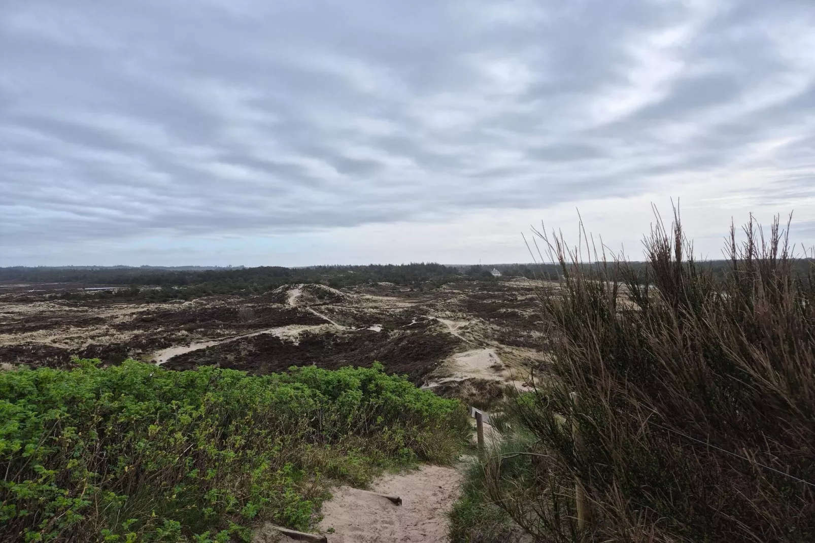 4 persoons vakantie huis in Nørre Nebel-Niet-getagd