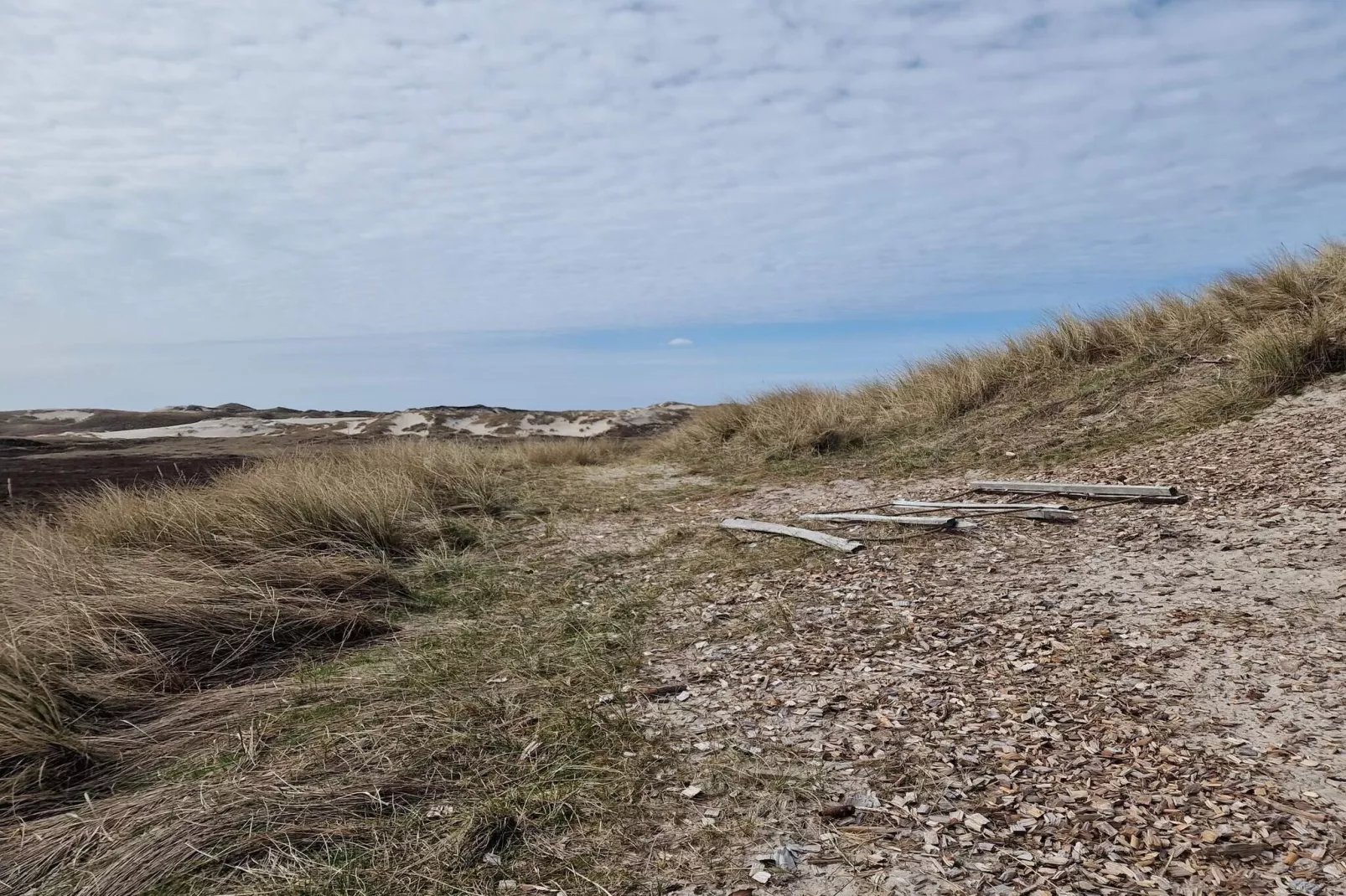 Gezellig Duinhuisje Toevluchtsoord-By Traum-Niet-getagd