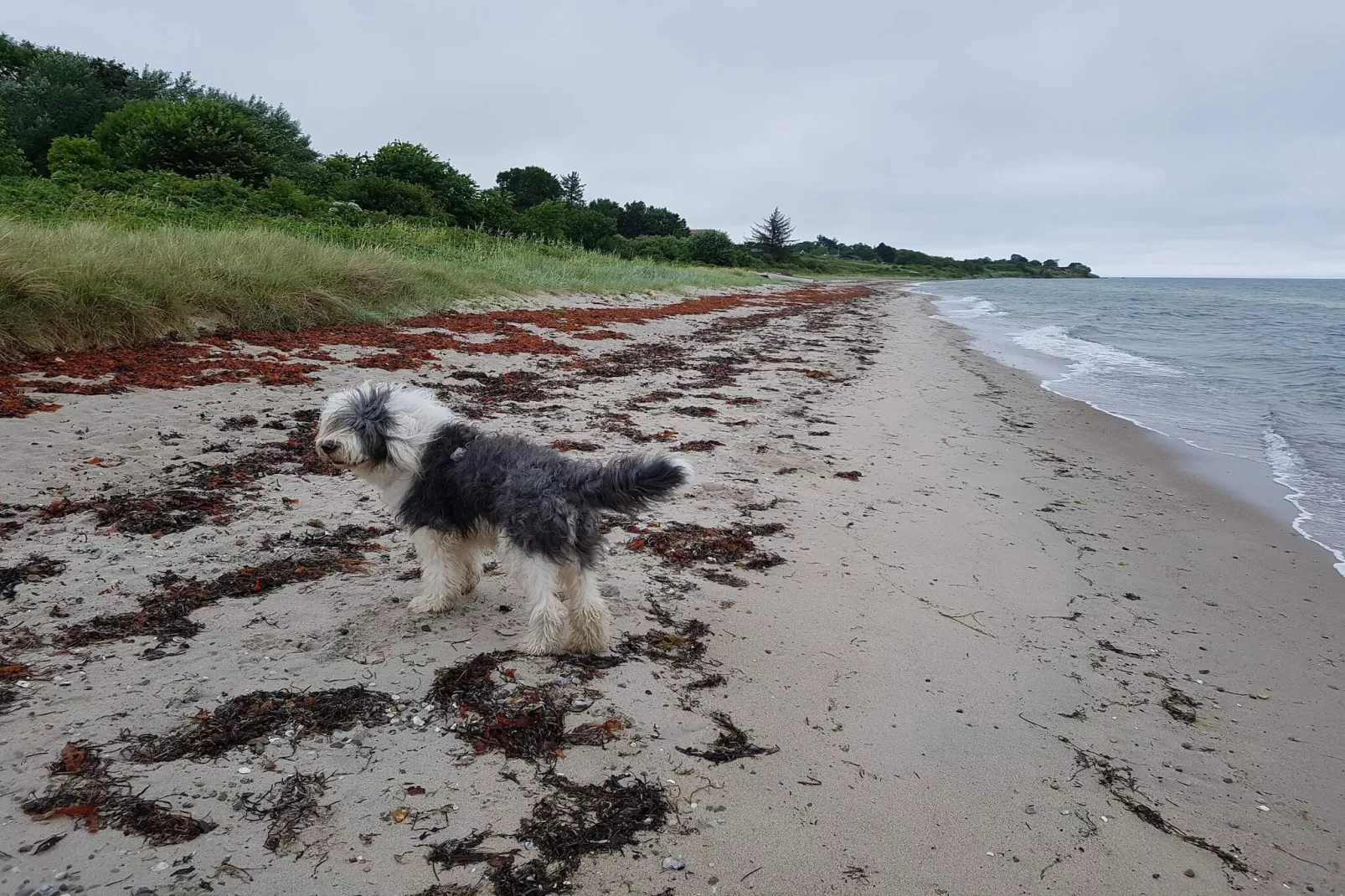 8 persoons vakantie huis in Odder-Waterzicht