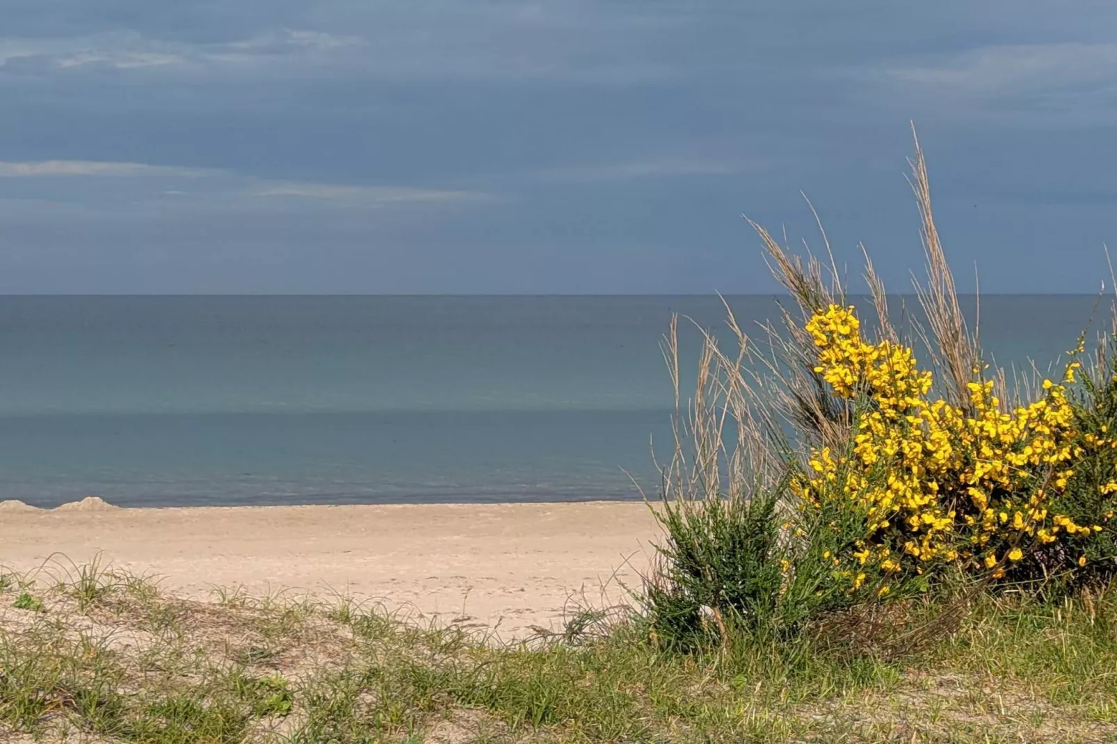12 persoons vakantie huis in Væggerløse-Waterzicht