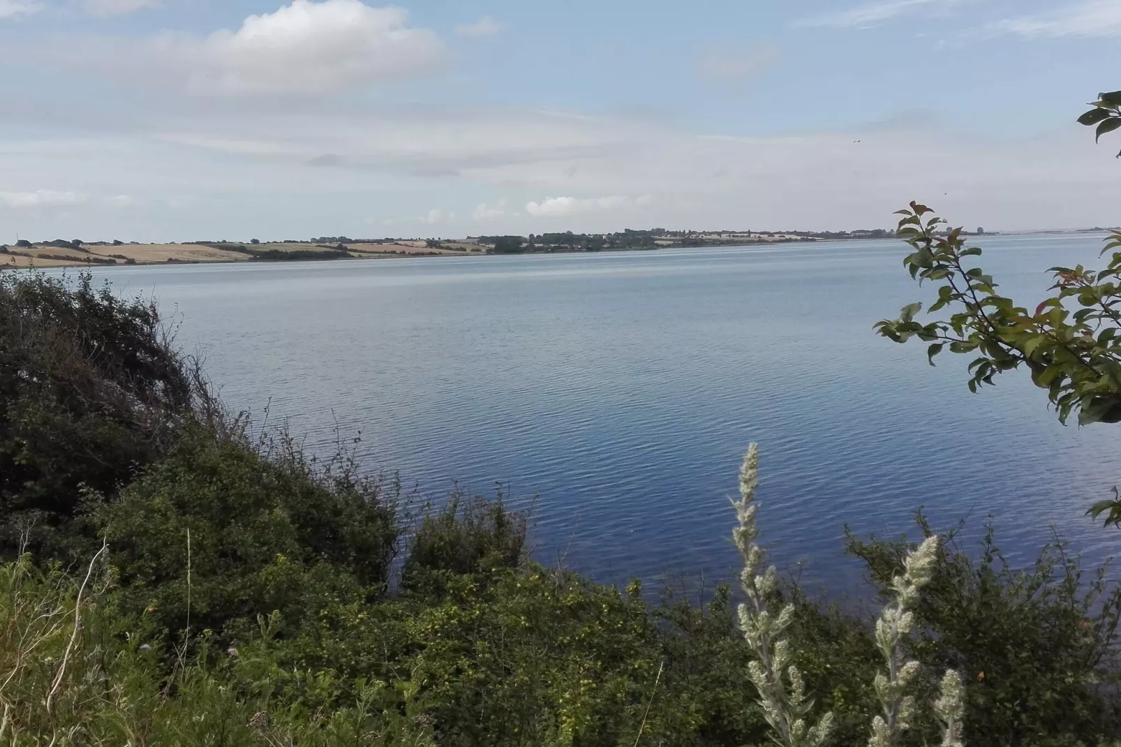 Kustsereniteit in Faldsled-By Traum-Waterzicht