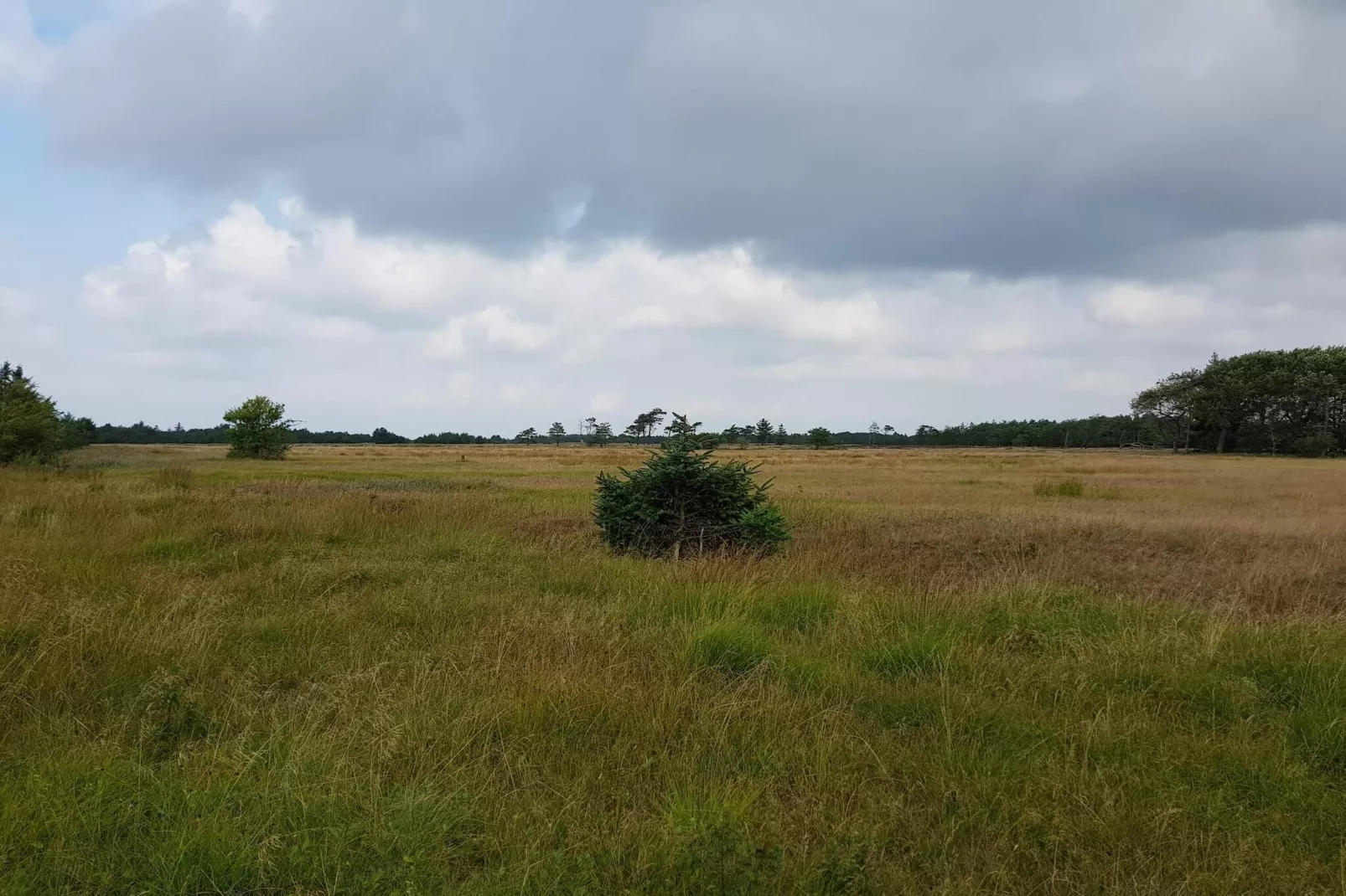 4 persoons vakantie huis in Oksbøl-Niet-getagd