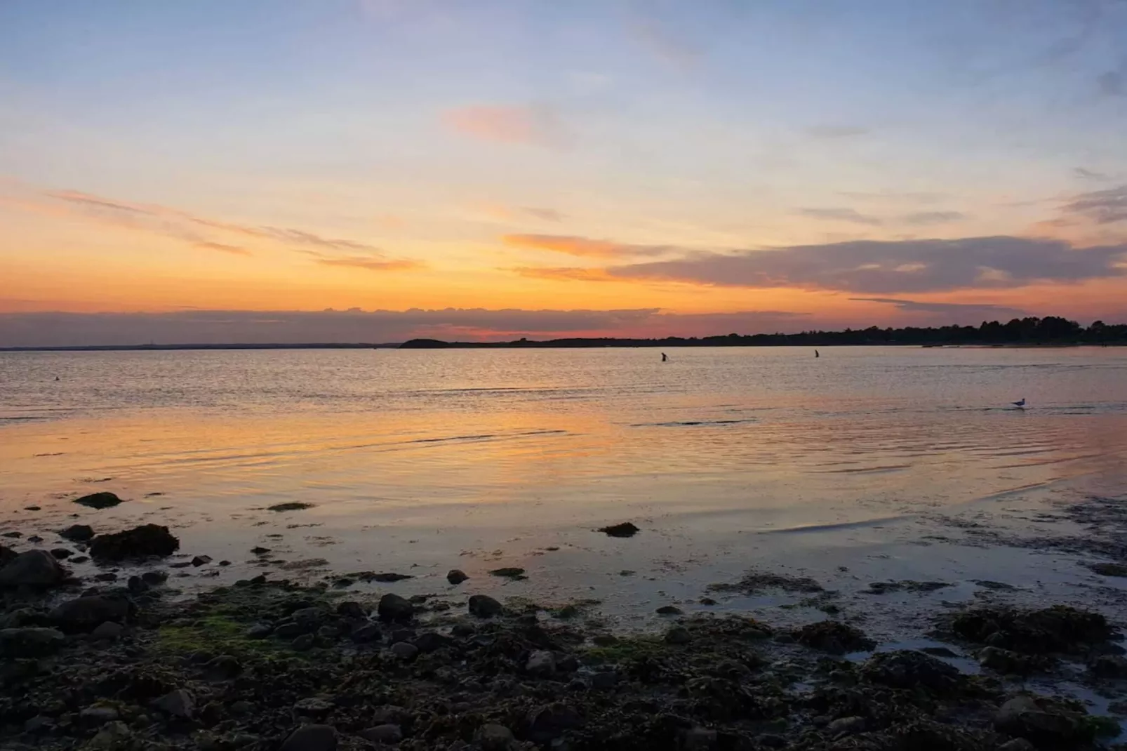 4 persoons vakantie huis in Knebel-Waterzicht