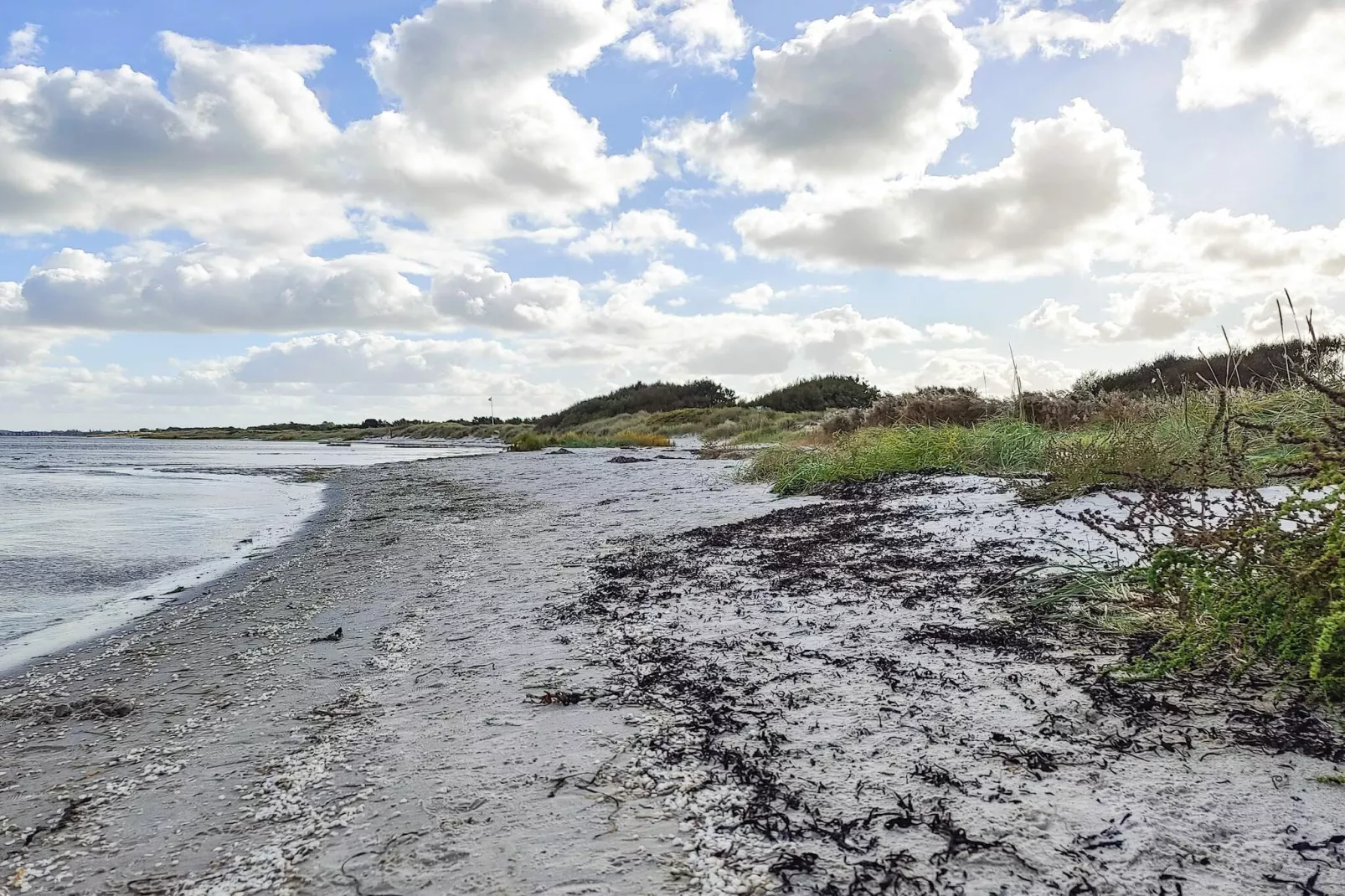 8 persoons vakantie huis in Væggerløse-Waterzicht