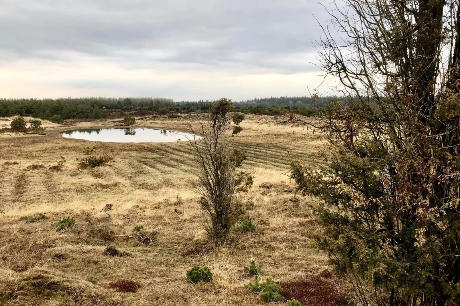 5 persoons vakantie huis in Hovborg-Niet-getagd