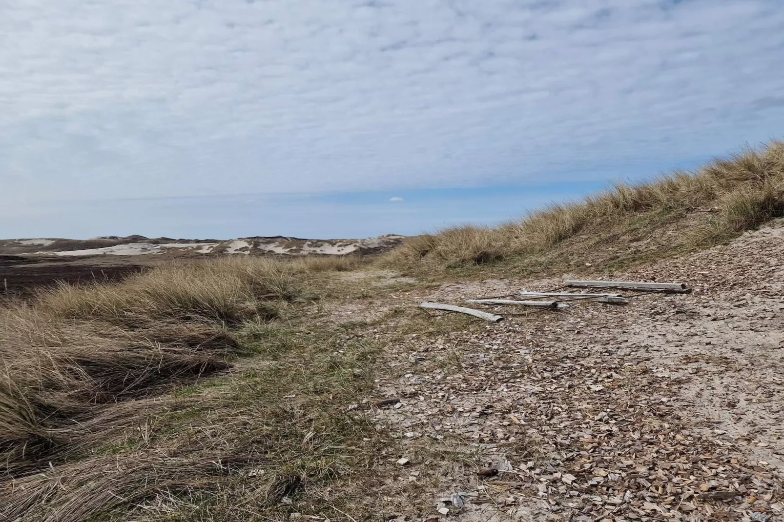 5 persoons vakantie huis in Hvide Sande-Niet-getagd