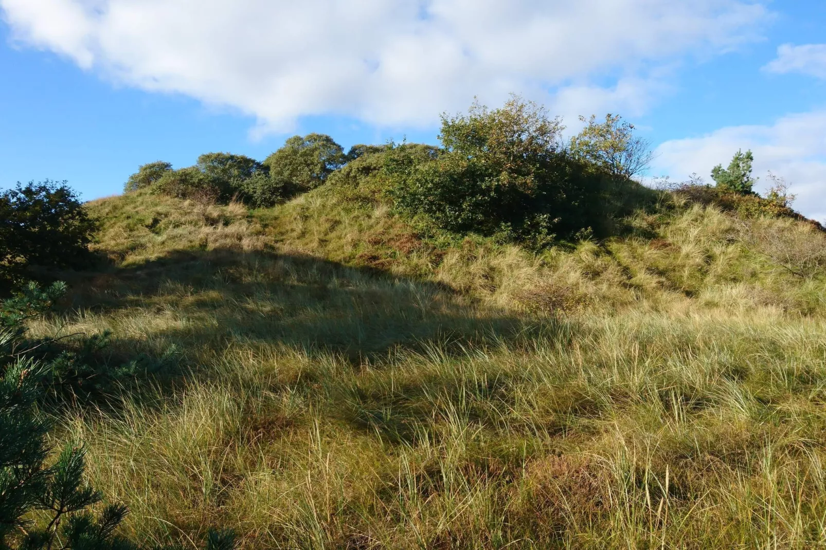 5 persoons vakantie huis in Rømø