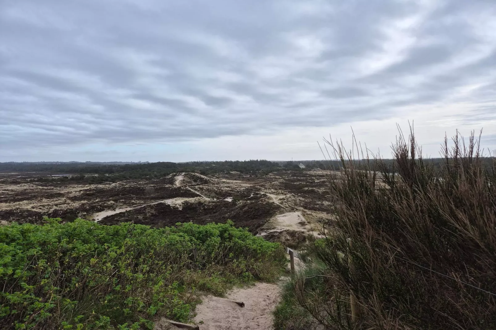 6 persoons vakantie huis in Nørre Nebel-Niet-getagd