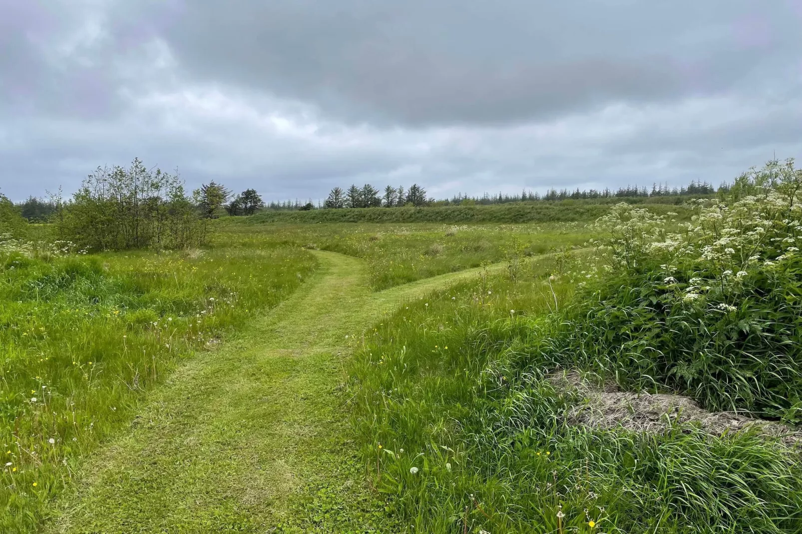 6 persoons vakantie huis in Pandrup-By Traum-Niet-getagd