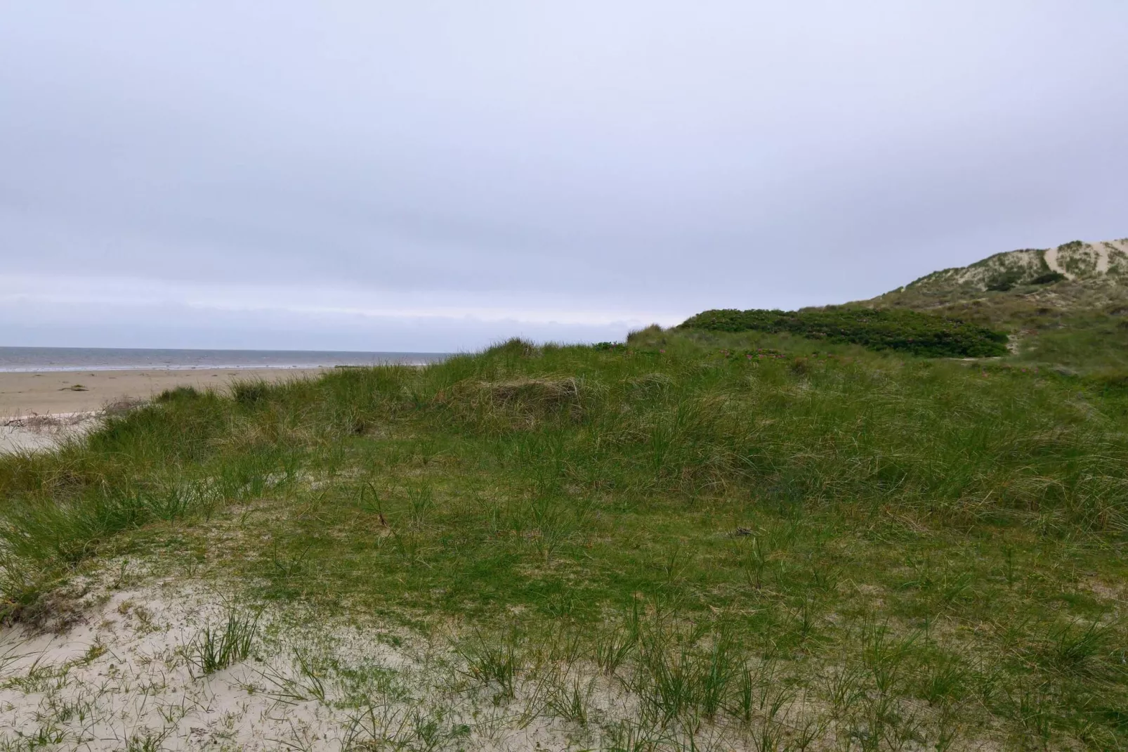 Gezellig toevluchtsoord in Sonderho -- By Traum Ferienwohnungen-Niet-getagd