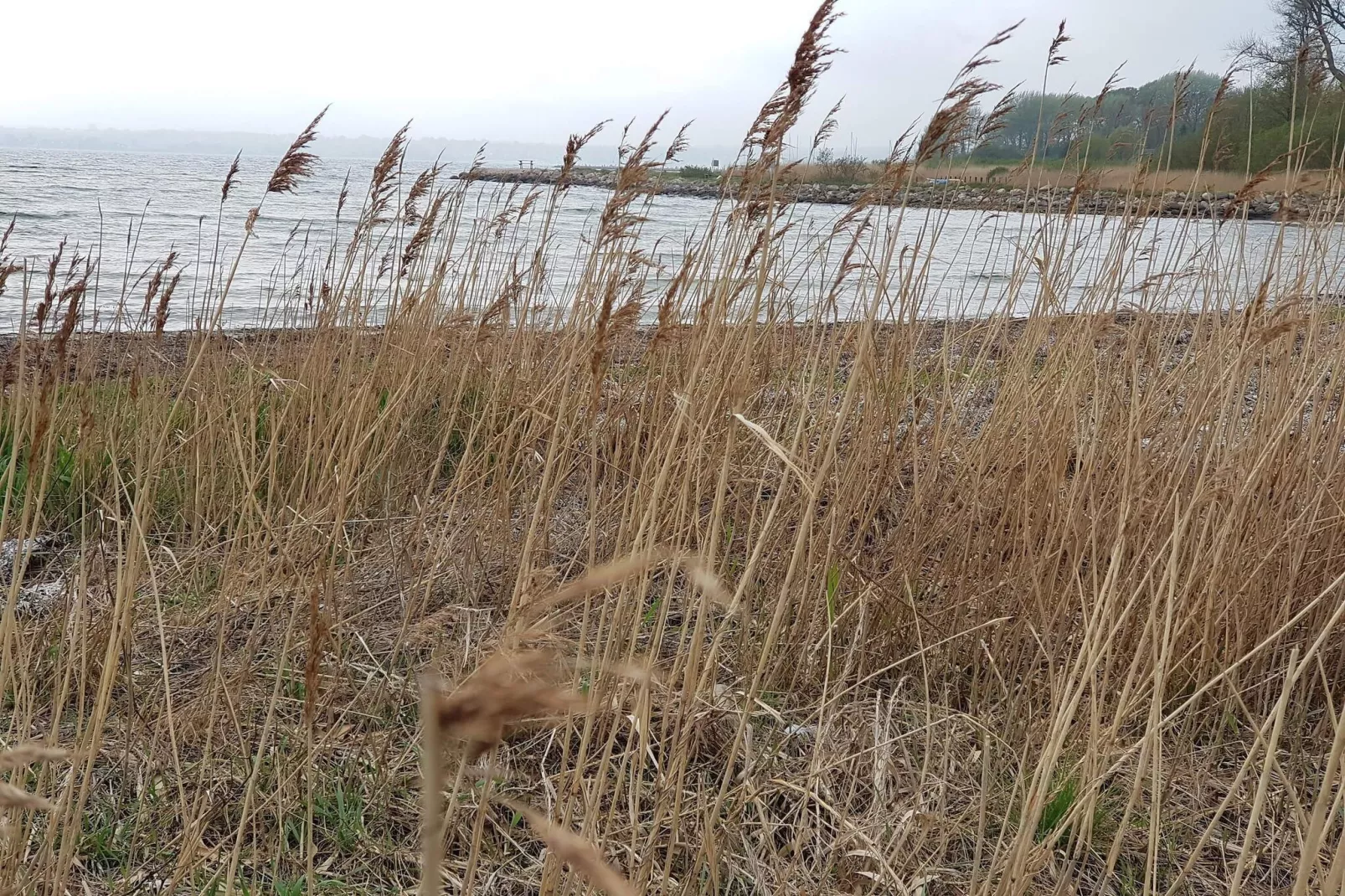 6 persoons vakantie huis in Egernsund-By Traum-Waterzicht