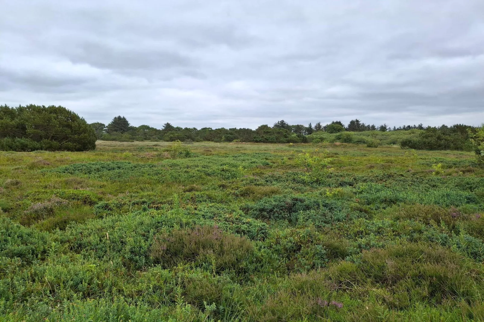 12 persoons vakantie huis in Tarm-By Traum-Niet-getagd