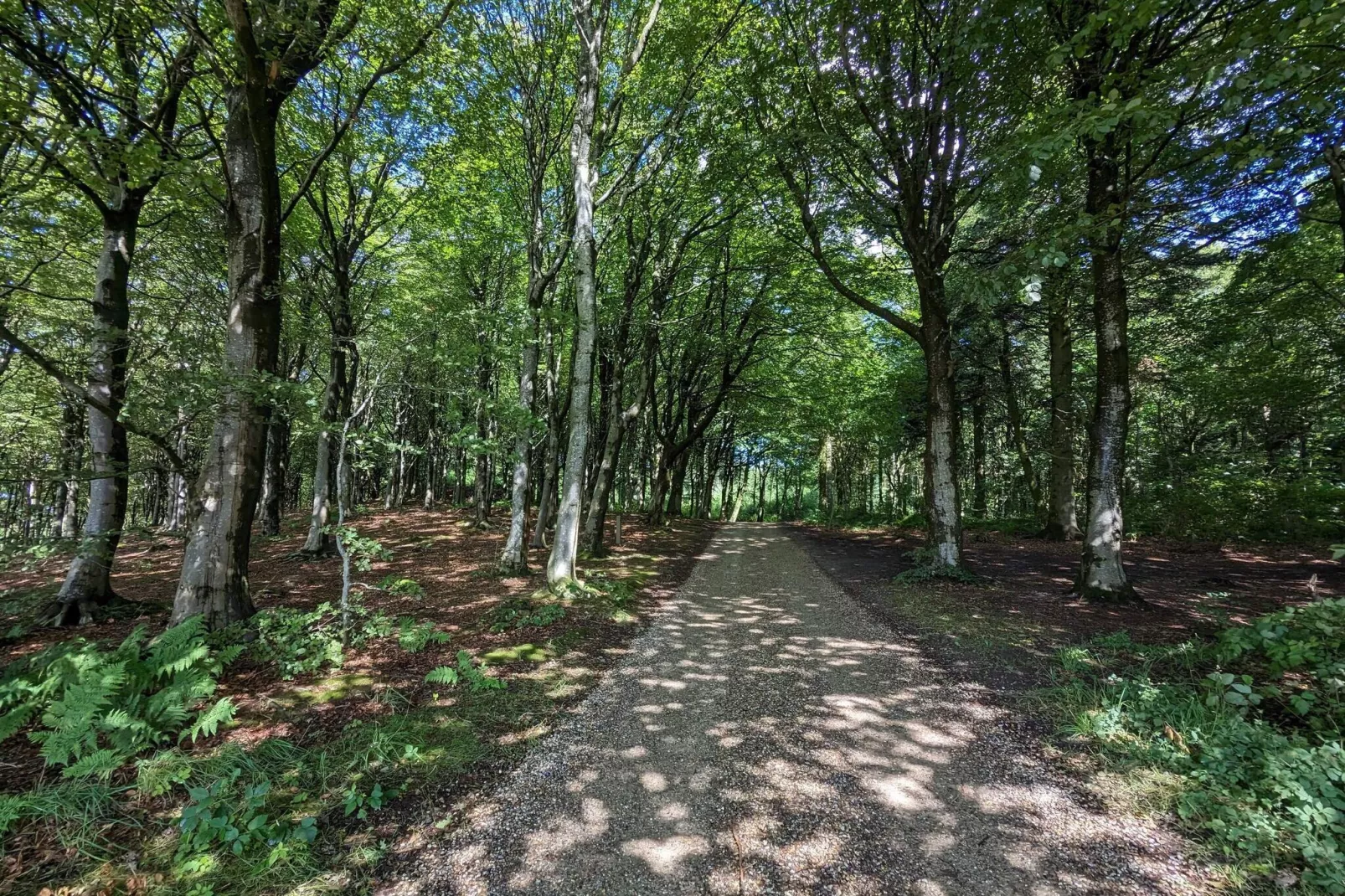 8 persoons vakantie huis in Vestervig-By Traum-Niet-getagd