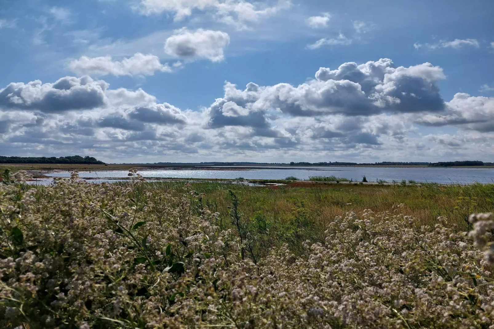 6 persoons vakantie huis in Harboøre-Waterzicht