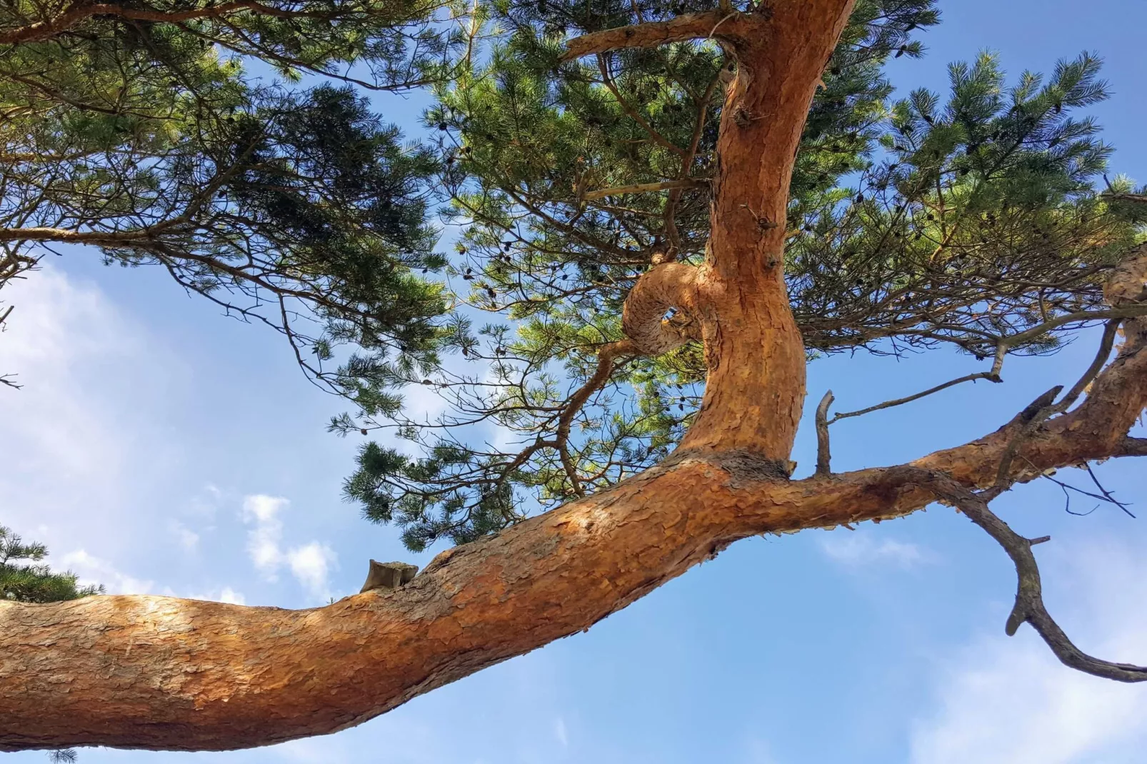 Gezellig strandhuis in Rageleje -- By Traum Ferienwohnungen-Niet-getagd