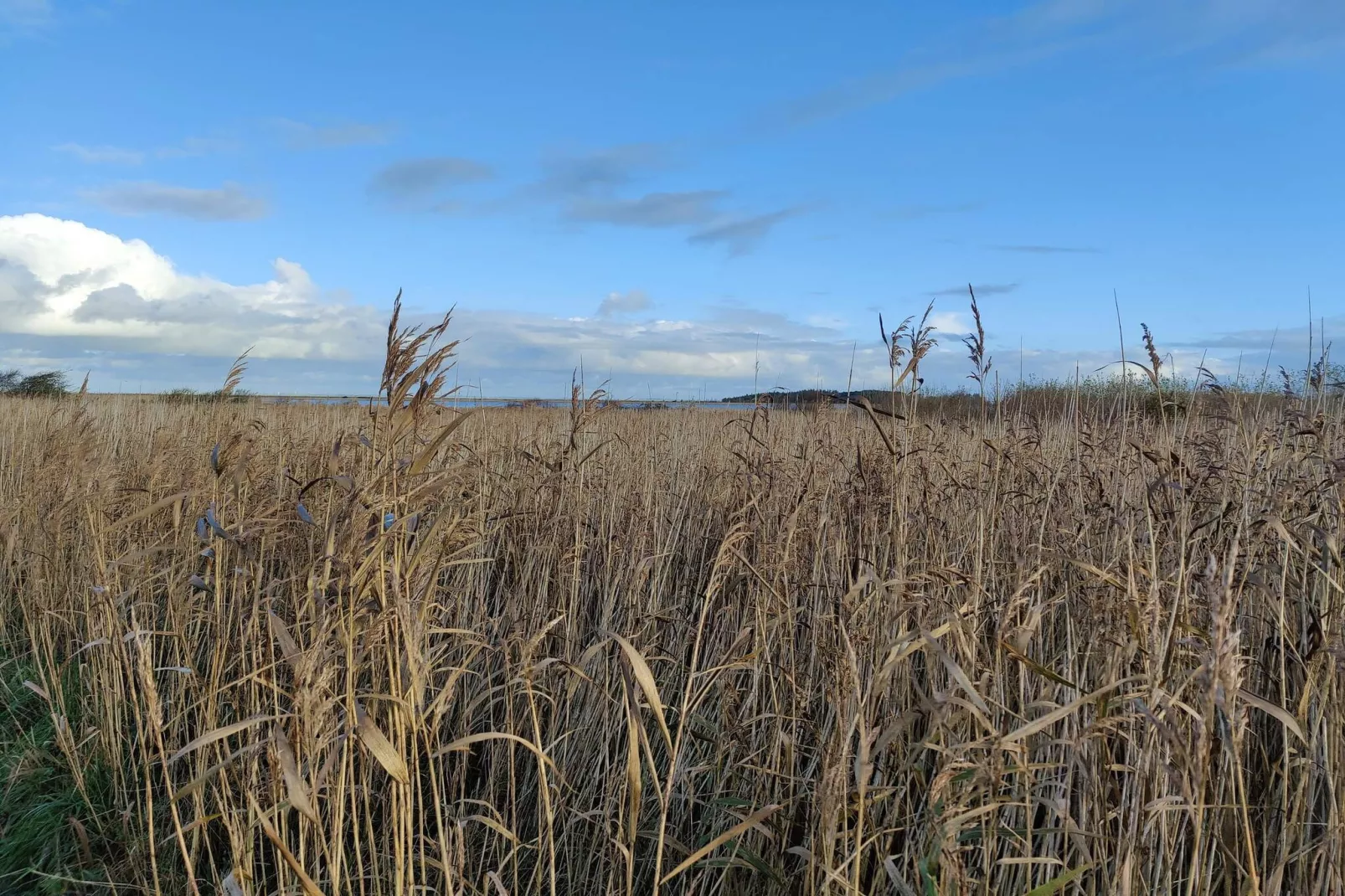 6 persoons vakantie huis in Lemvig-By Traum-Niet-getagd