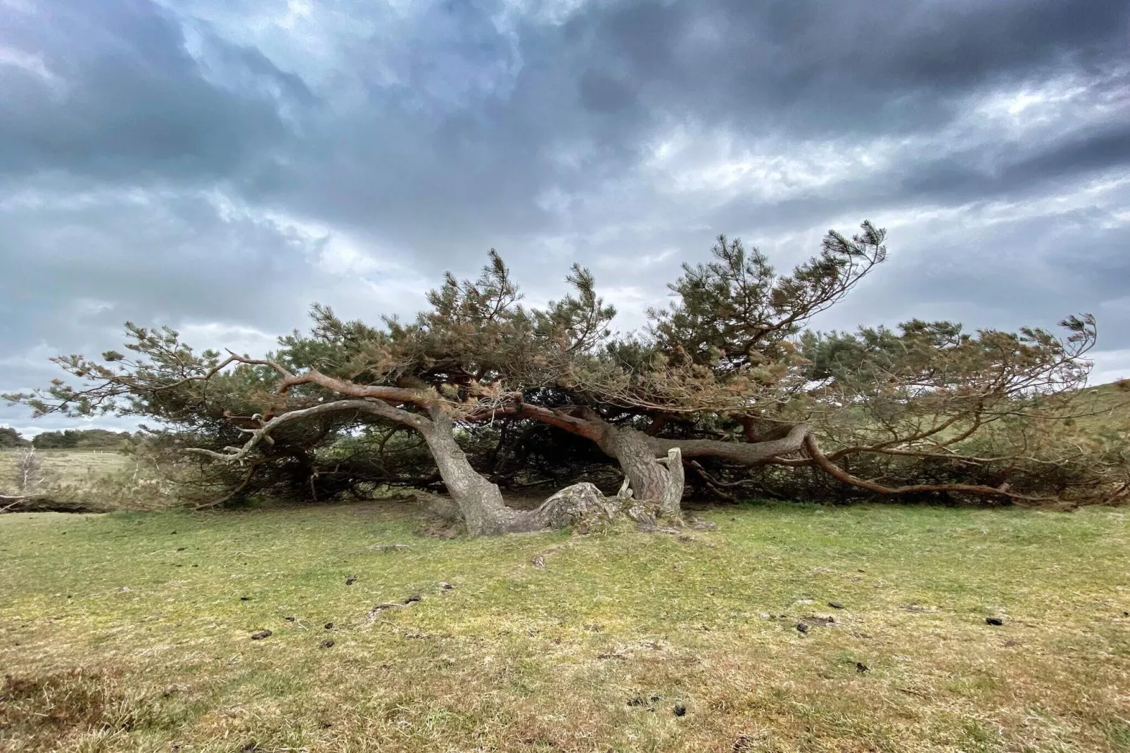 5 persoons vakantie huis in Græsted-Niet-getagd