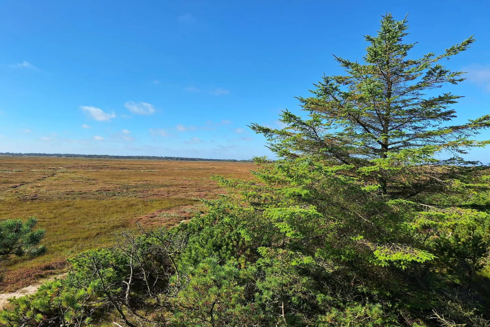 Gezellig toevluchtsoord met Spa -- By Traum Ferienwohnungen-Niet-getagd