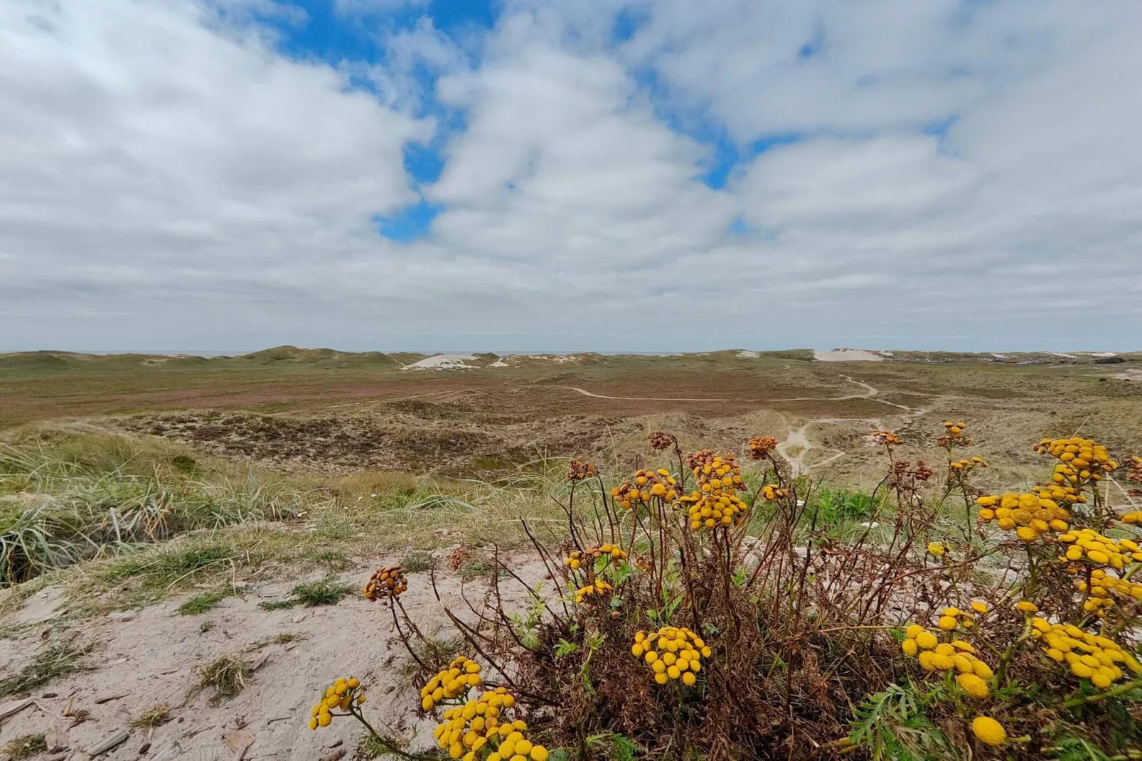 Gezellig strandhuis -- By Traum Ferienwohnungen-Niet-getagd