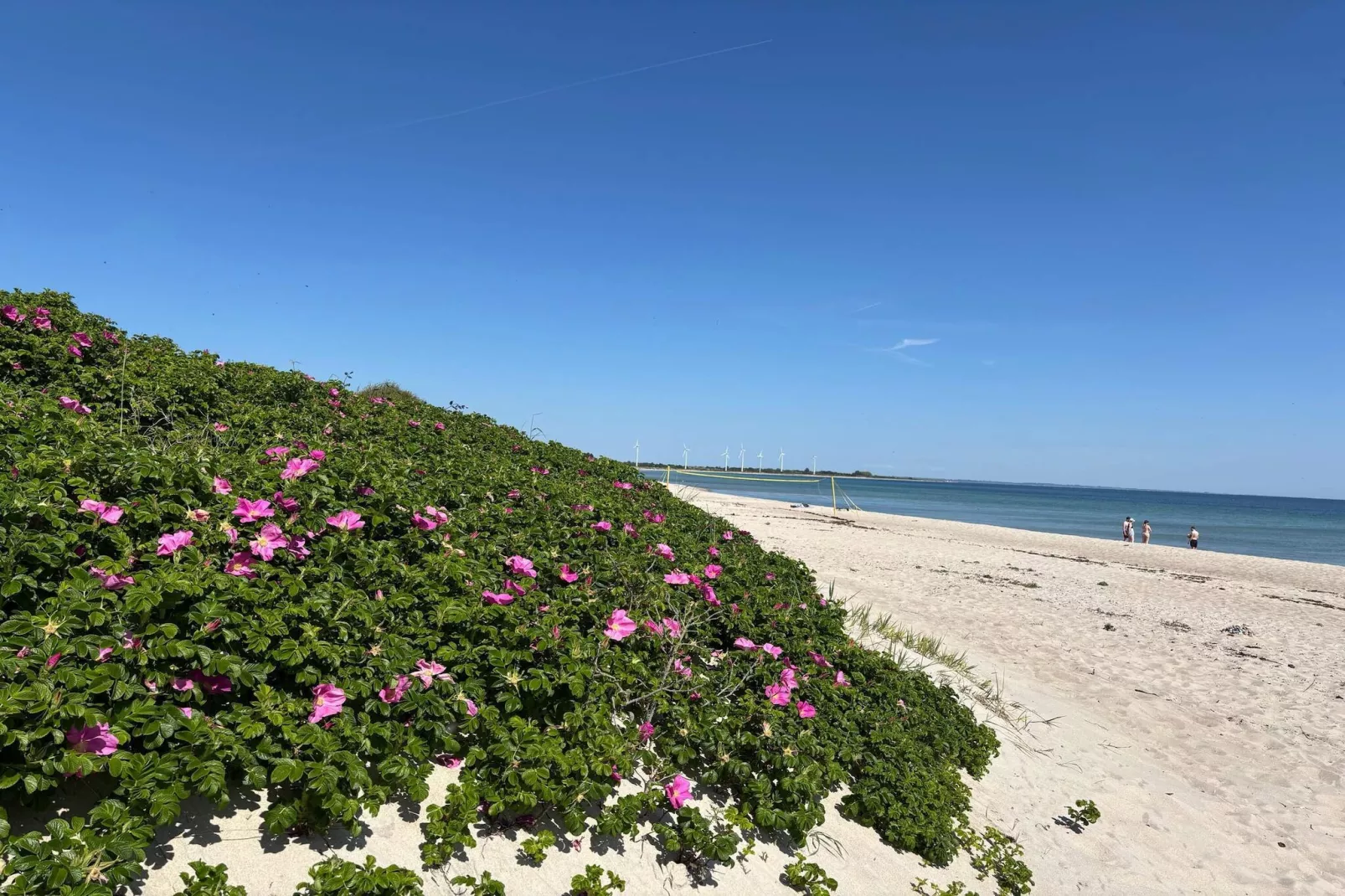 Luxe retraite in Mommark -- By Traum Ferienwohnungen-Waterzicht