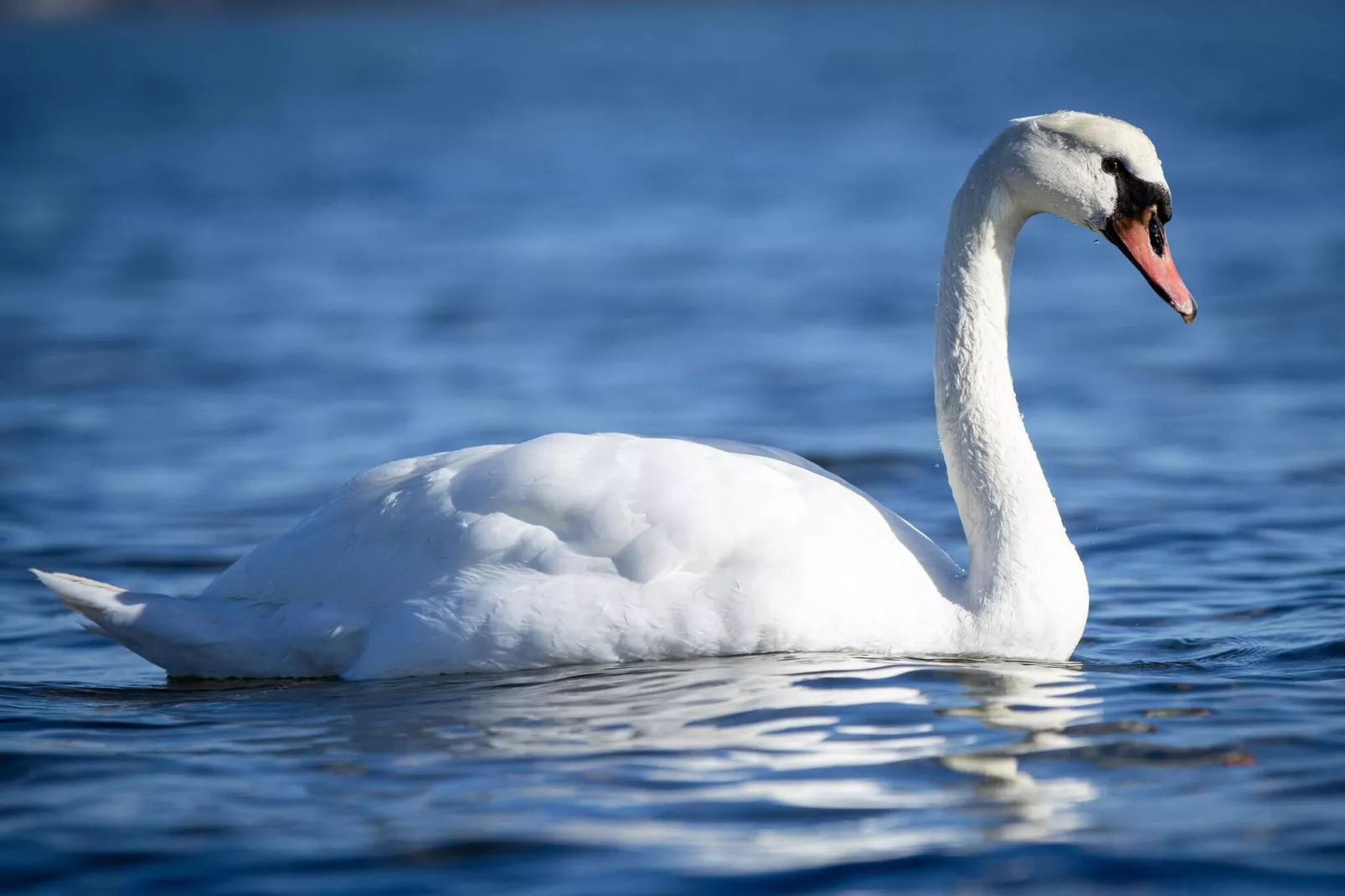 8 persoons vakantie huis in Sjølund-By Traum-Waterzicht