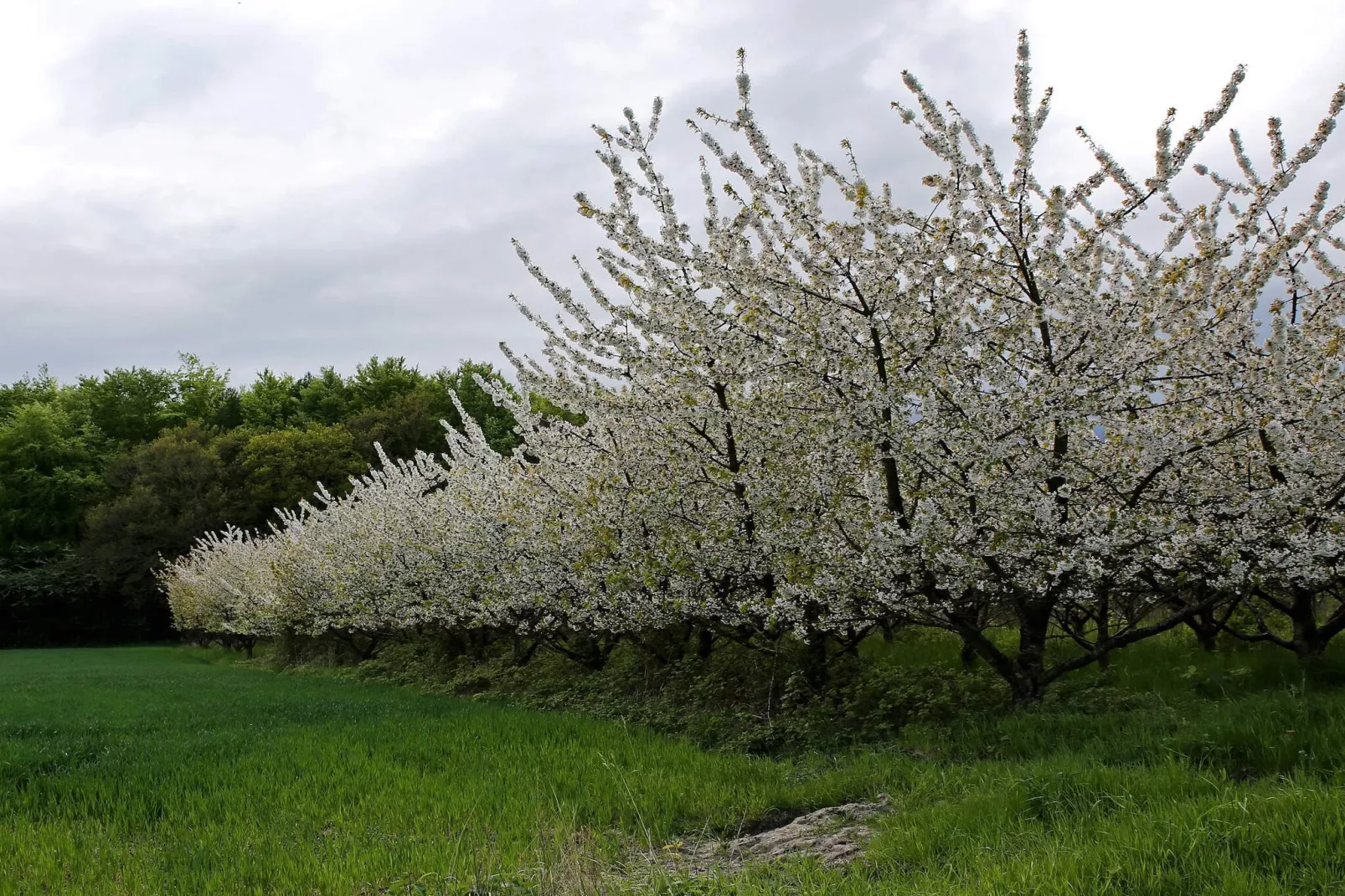 Luxe zwembadvilla in Lohals -- By Traum Ferienwohnungen-Niet-getagd
