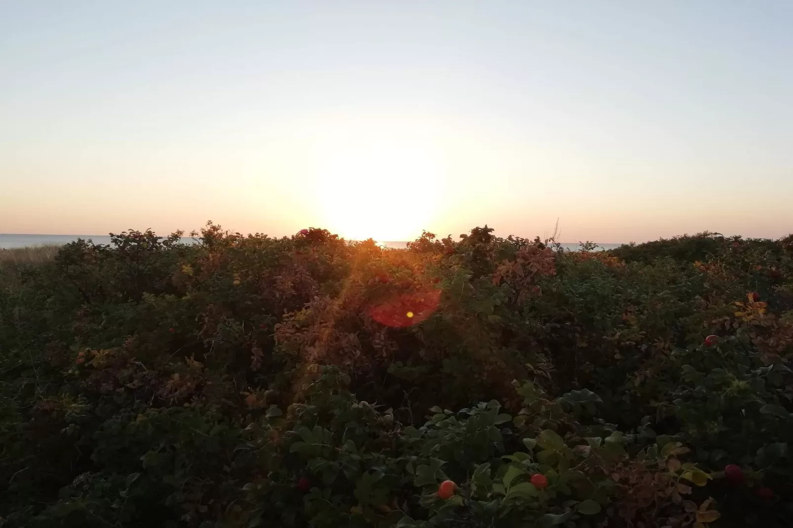 Rustige strand retraite -- By Traum Ferienwohnungen-Niet-getagd
