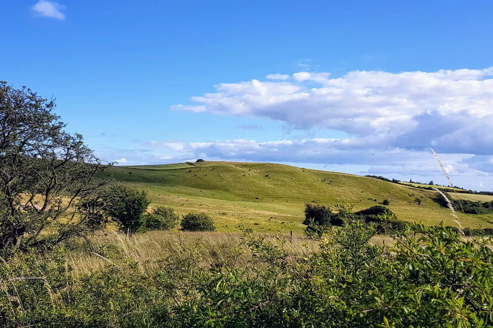 Kust ontsnapping in Helgenaes -- By Traum Ferienwohnungen-Niet-getagd