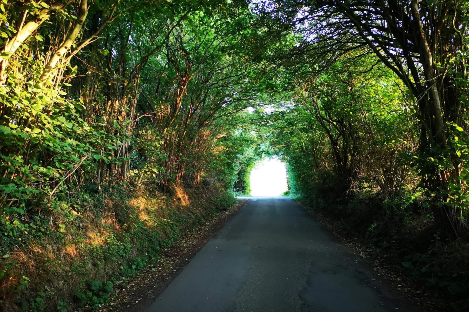 5 persoons vakantie huis in Hejls-By Traum-Niet-getagd